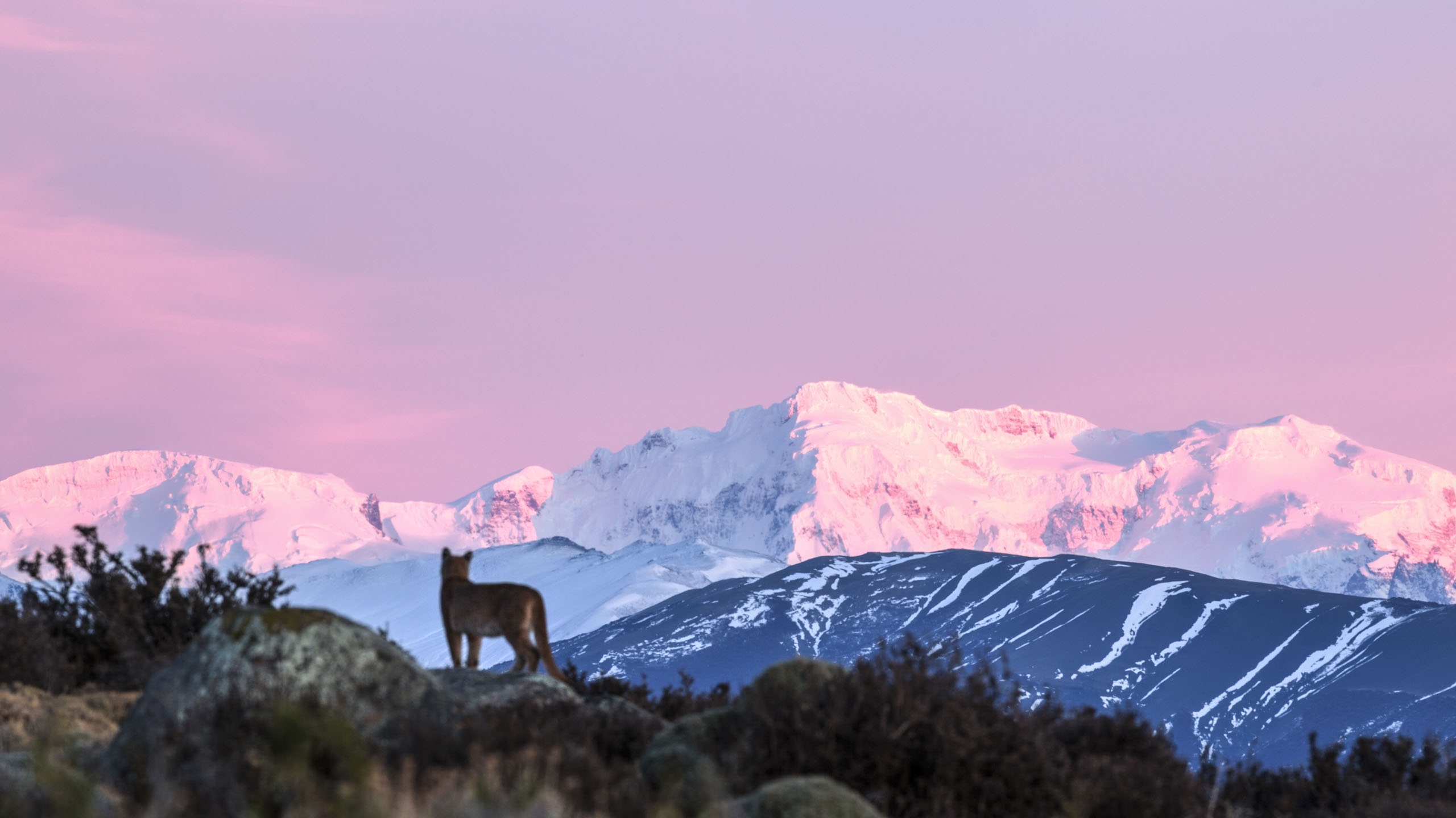 Best Time of the Year to visit Argentina - Jacada Travel