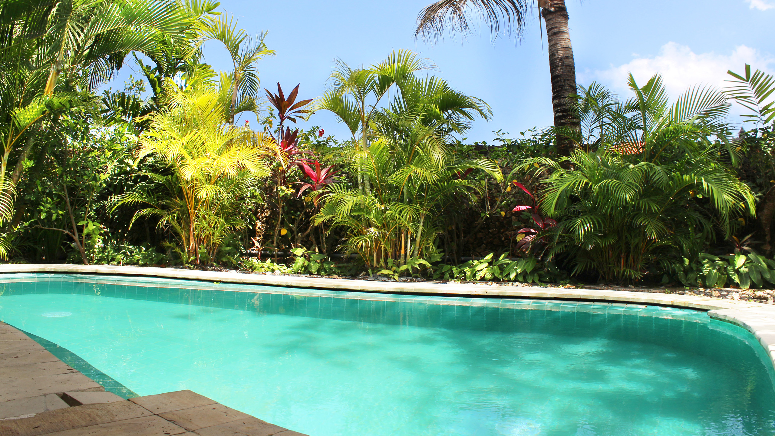 tugu-bali-pool