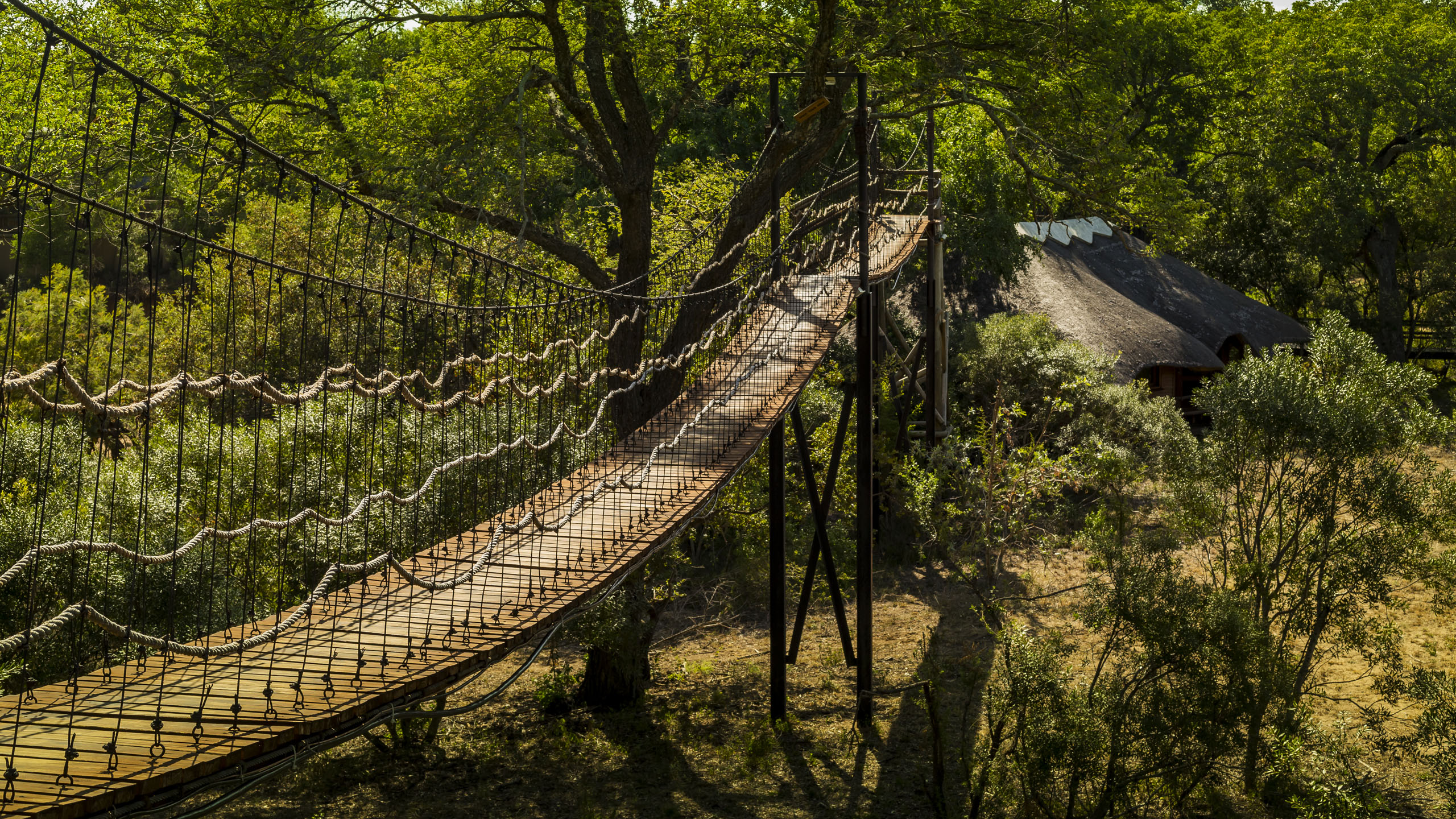 Ulusaba Safari Lodge