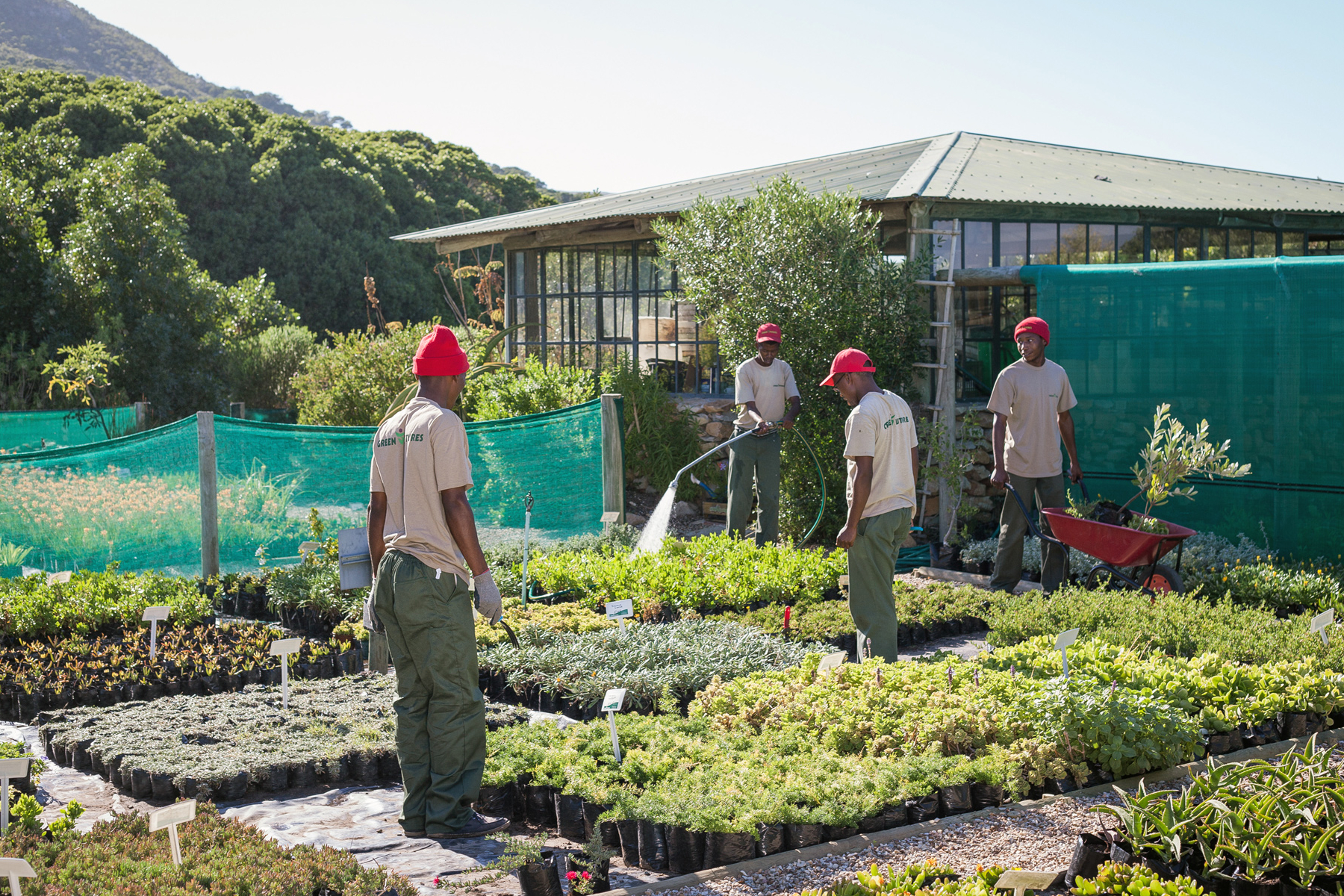Grootbos Private Reserve