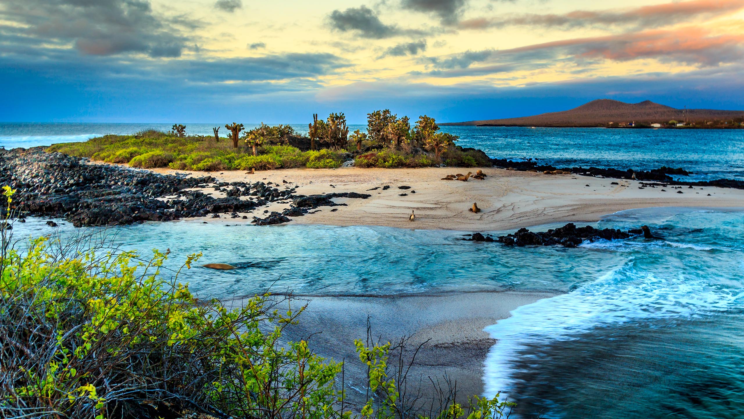 Best Time to Visit Galápagos Islands: Month-by-Month Guide