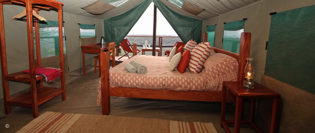 Ant's Nest and Bush Lodge
