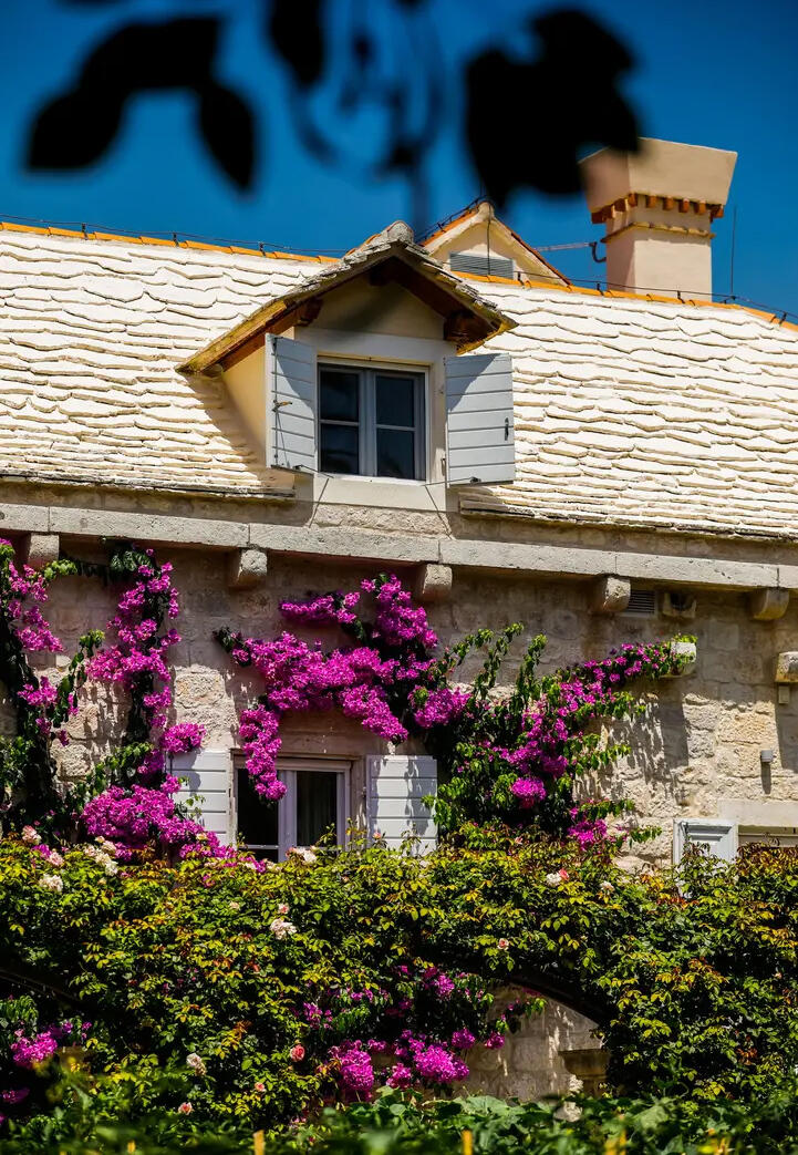 Hotel Lemongarden