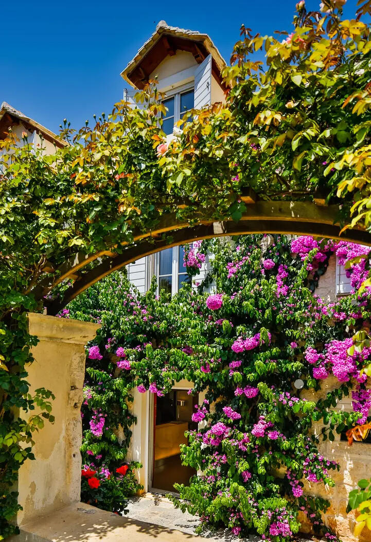 Hotel Lemongarden