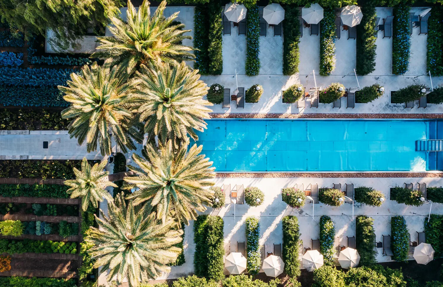 Hotel Lemongarden