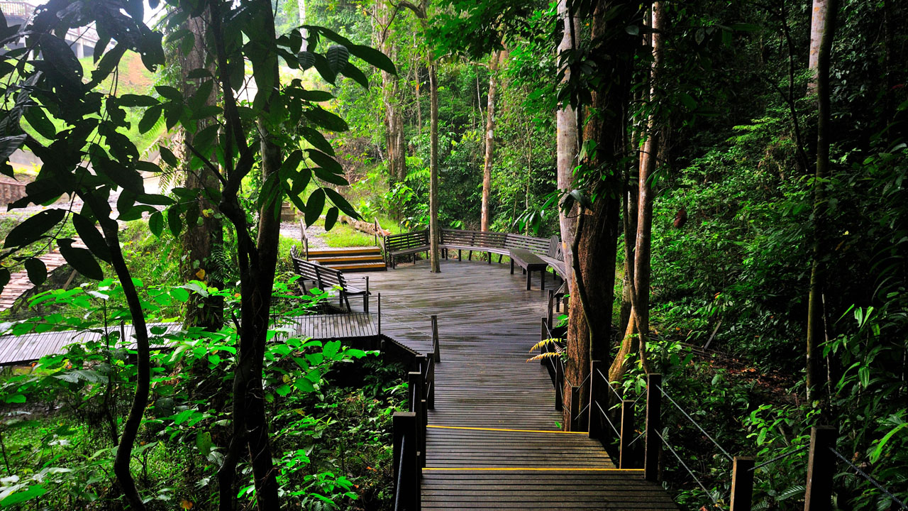 MY Nature Resort