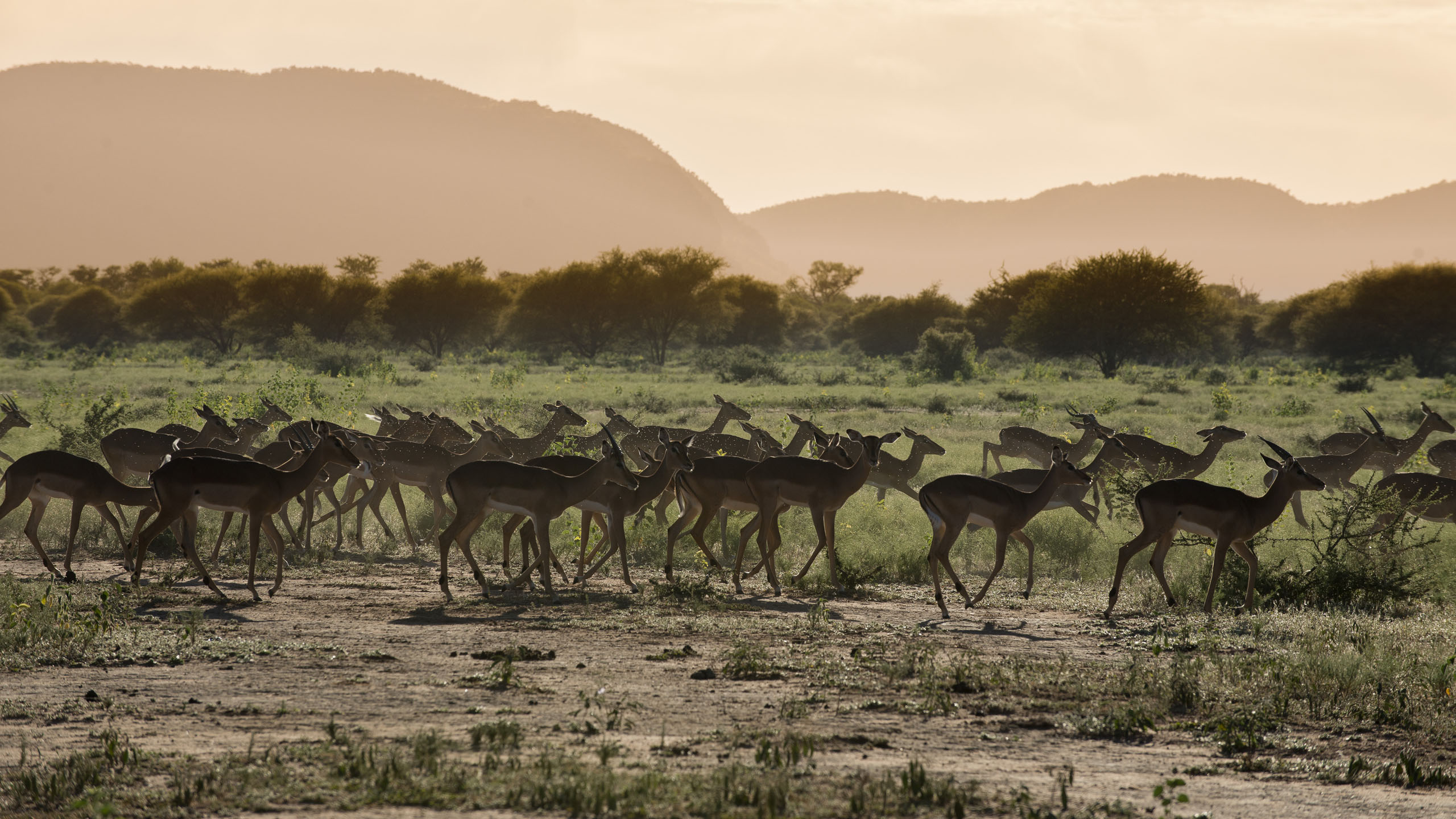 Marataba Private Reserve