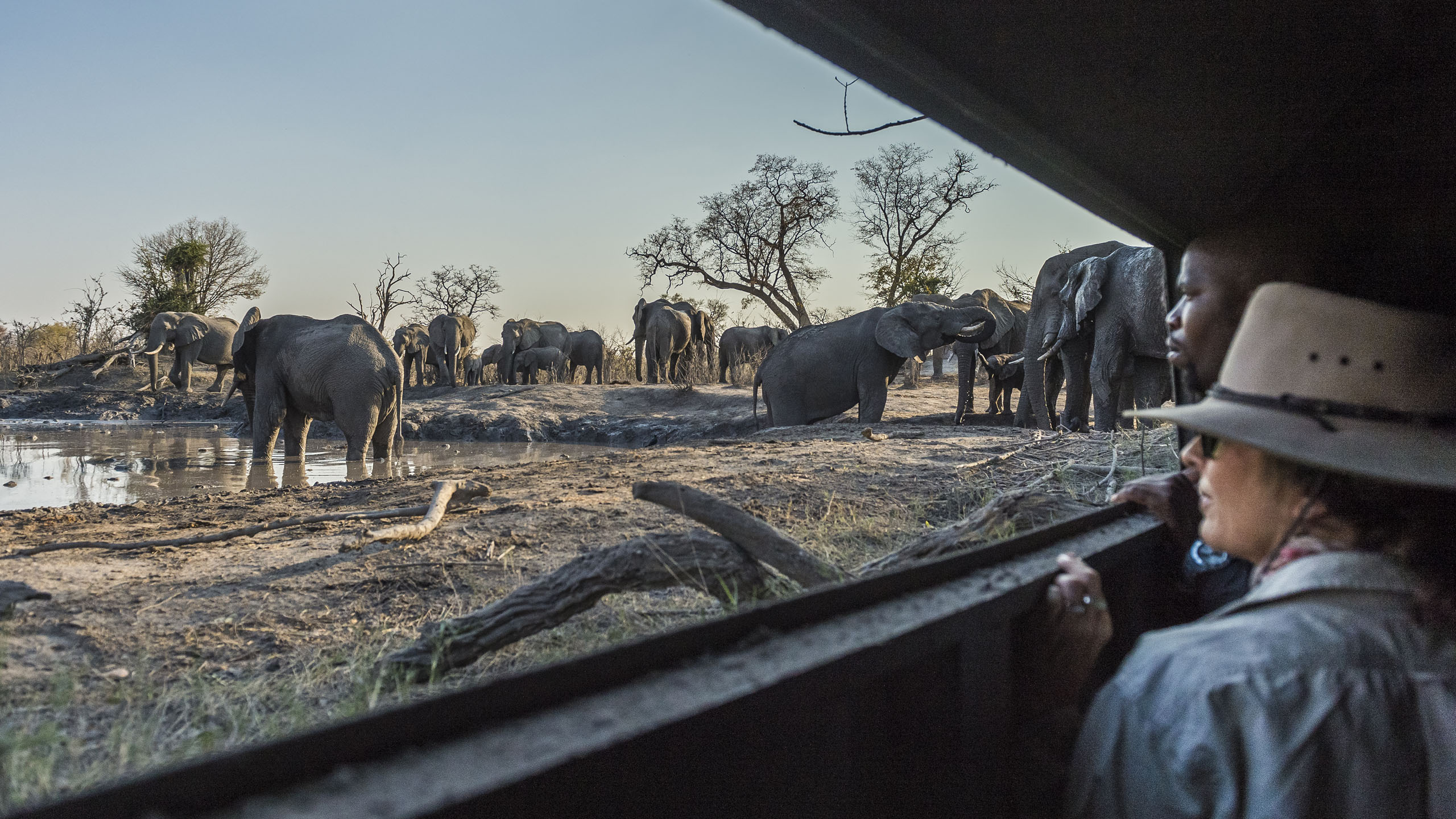 Wilderness Savuti Camp