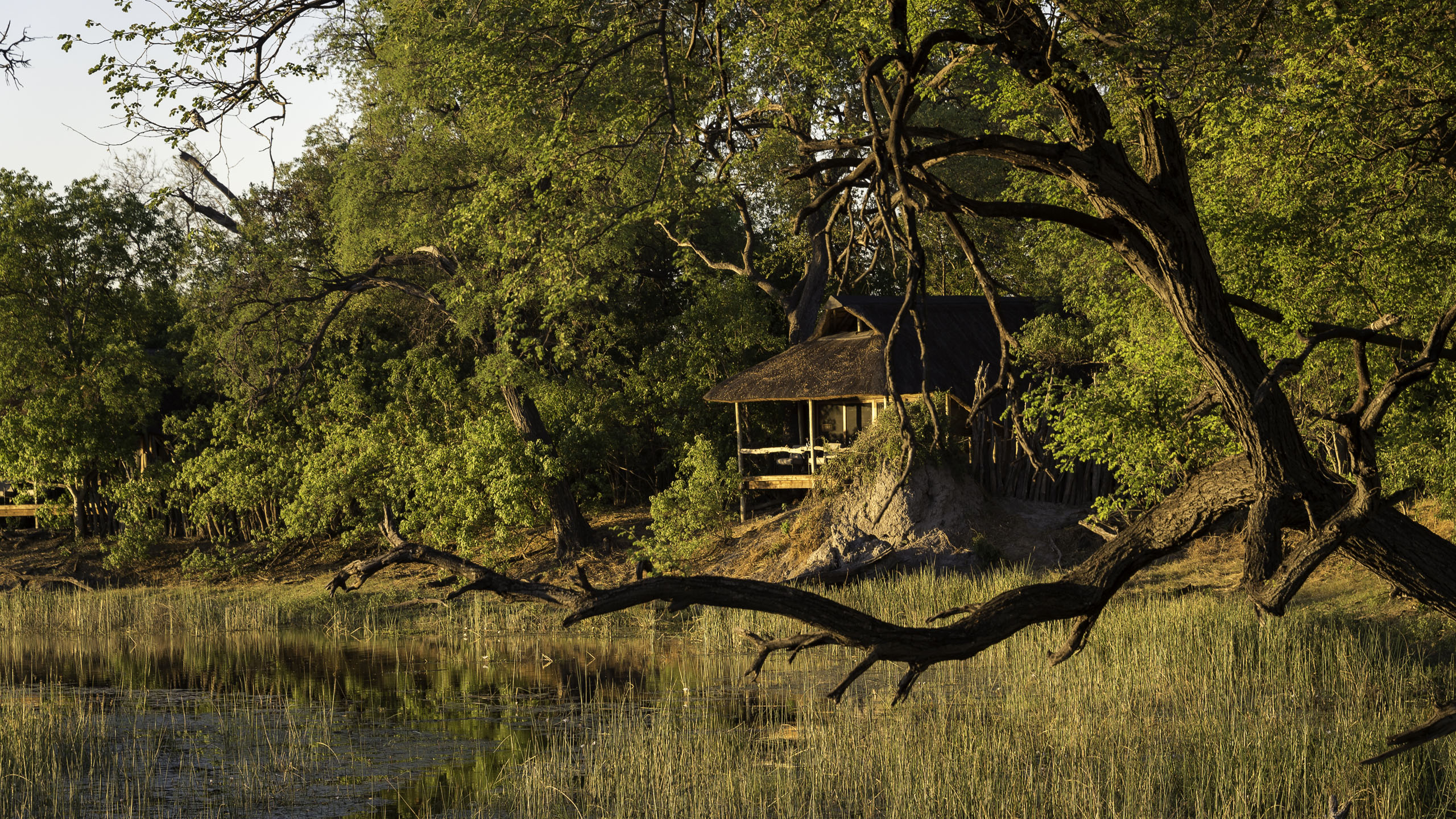 Wilderness Savuti Camp