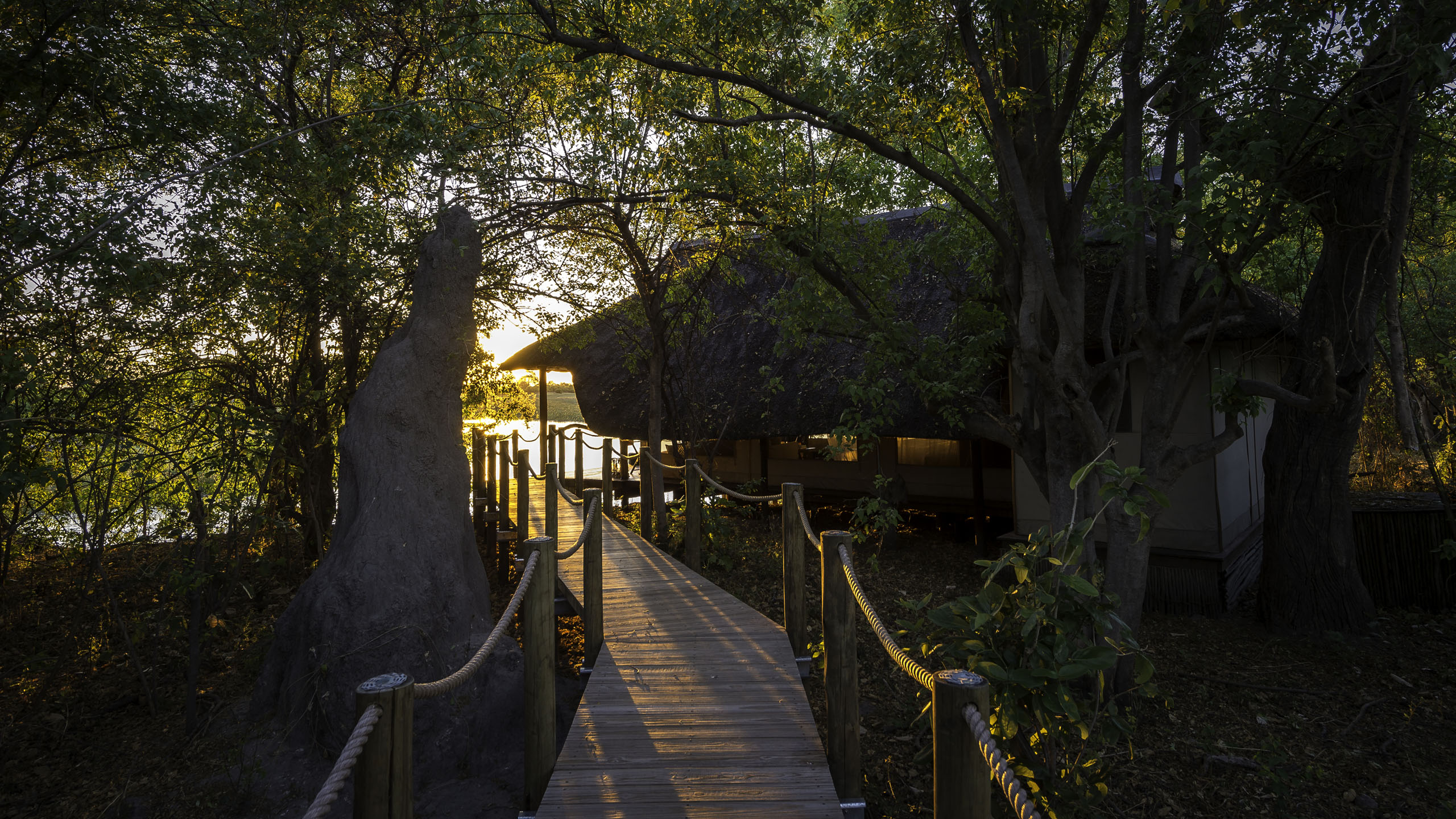 Wilderness Savuti Camp