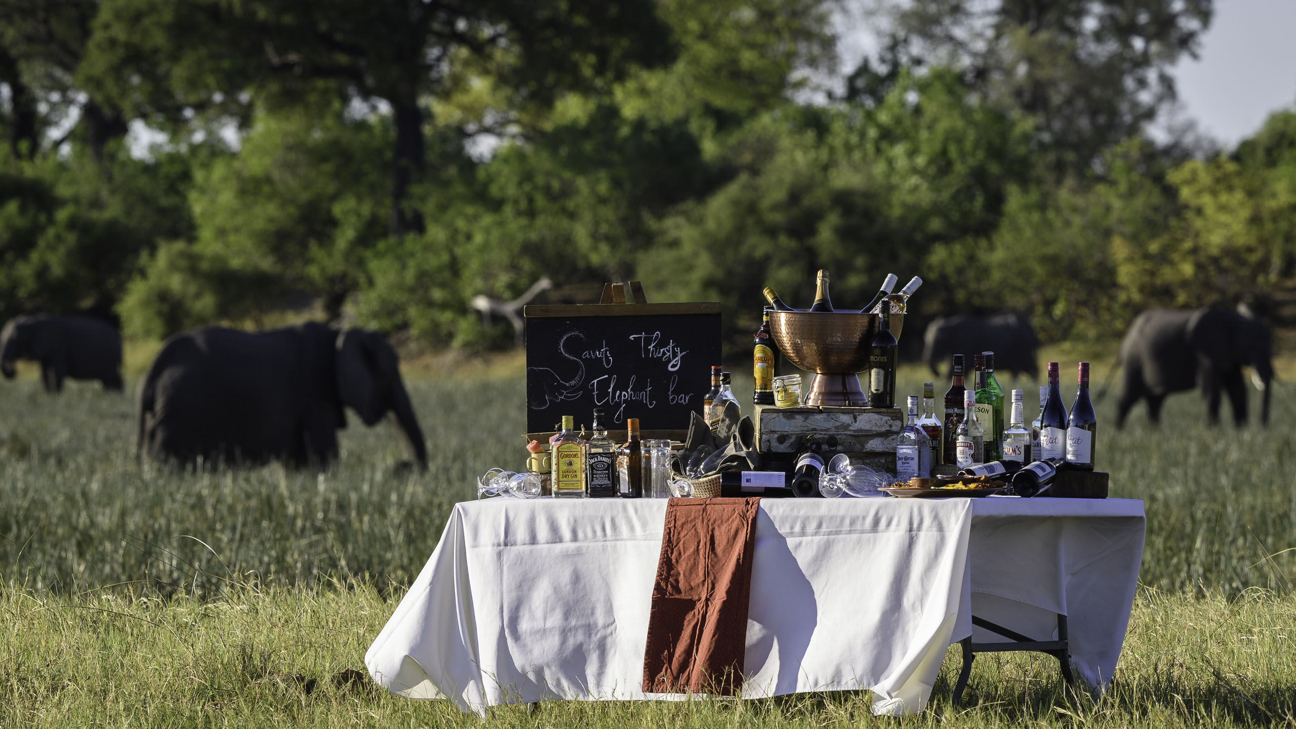 Wilderness Savuti Camp