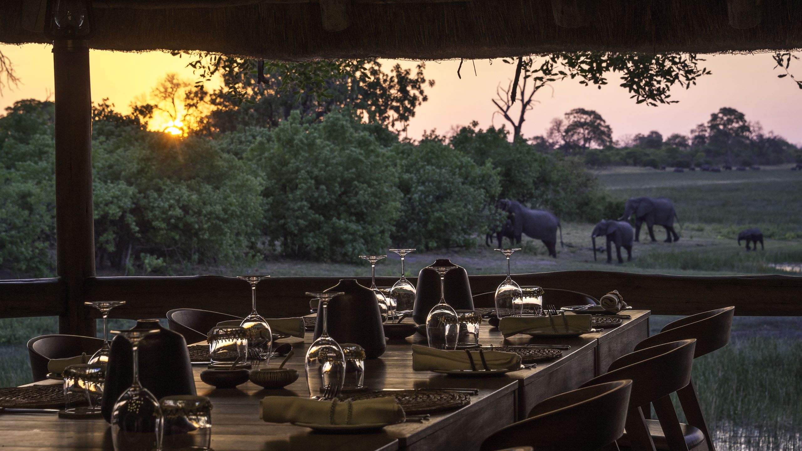 Wilderness Savuti Camp