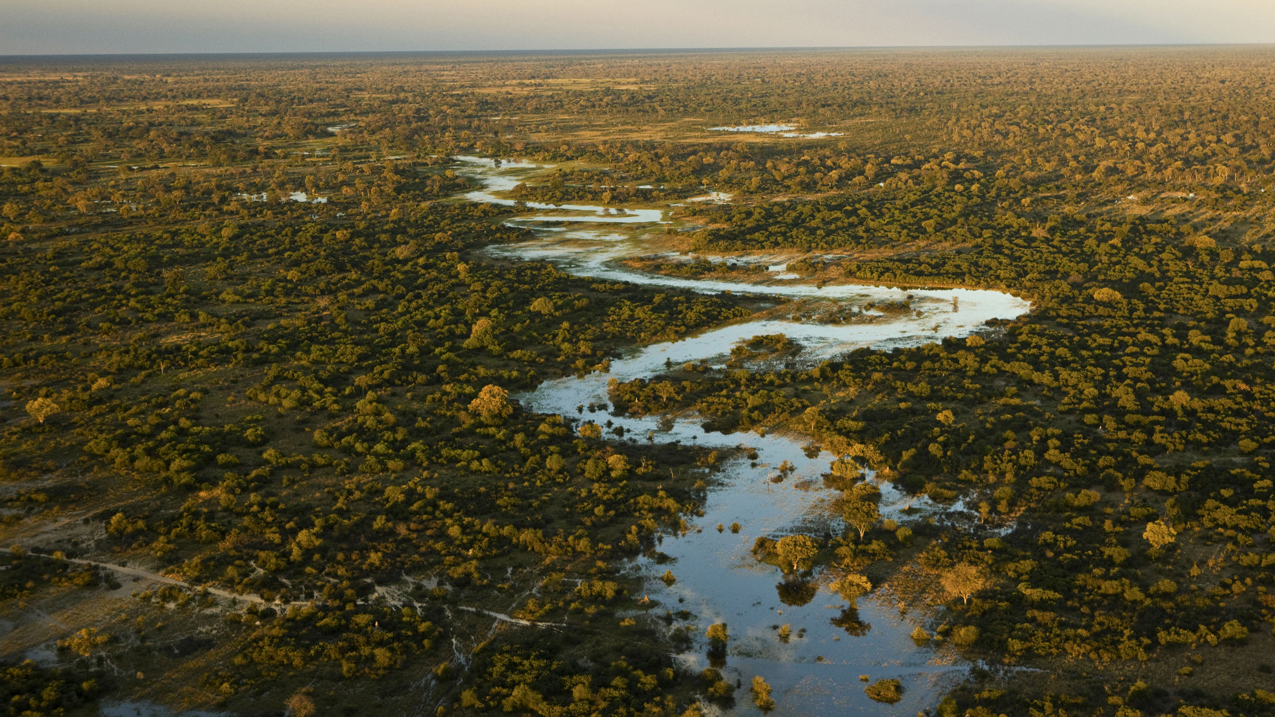 Aerial view of Selinda Adventure Trail, a winding river flowing through tree covered landscape in Botswana, Africa.