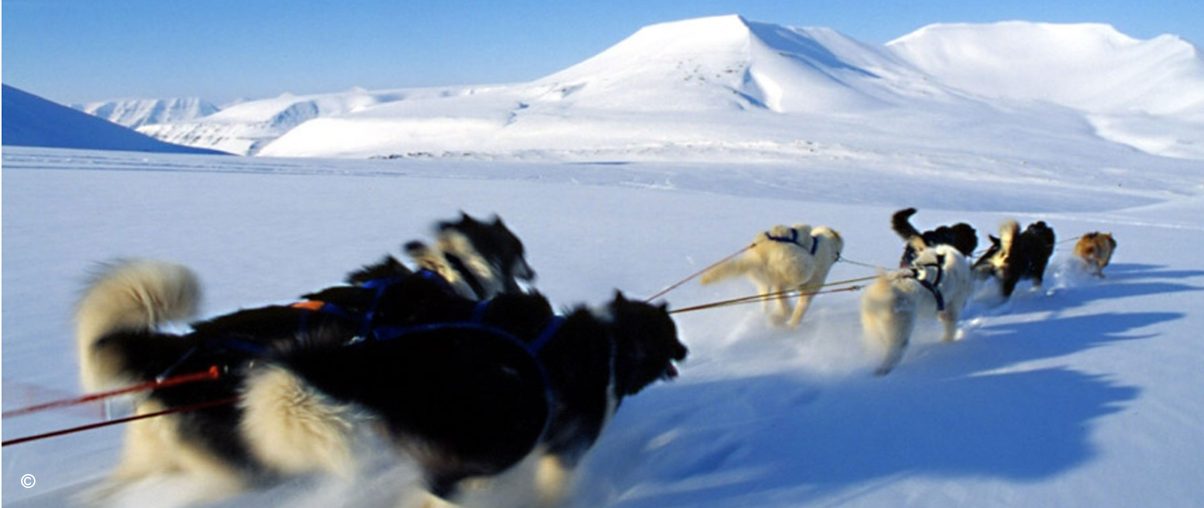 Iceland and Arctic Norway Adventure | Jacada Travel