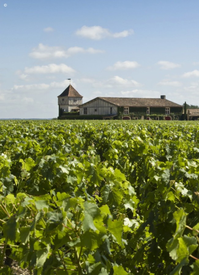 Les Sources de Caudalie