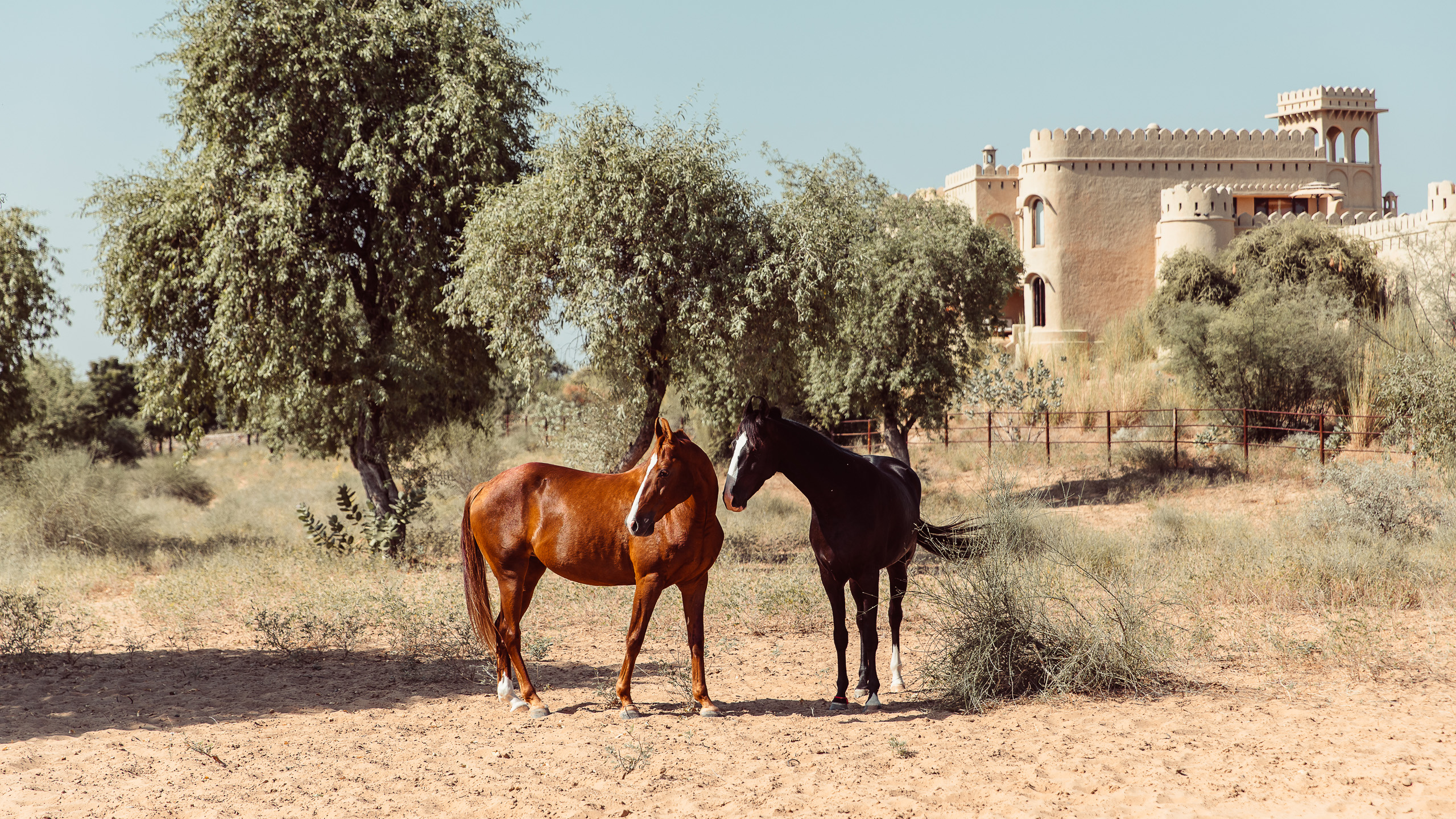Mihir Garh