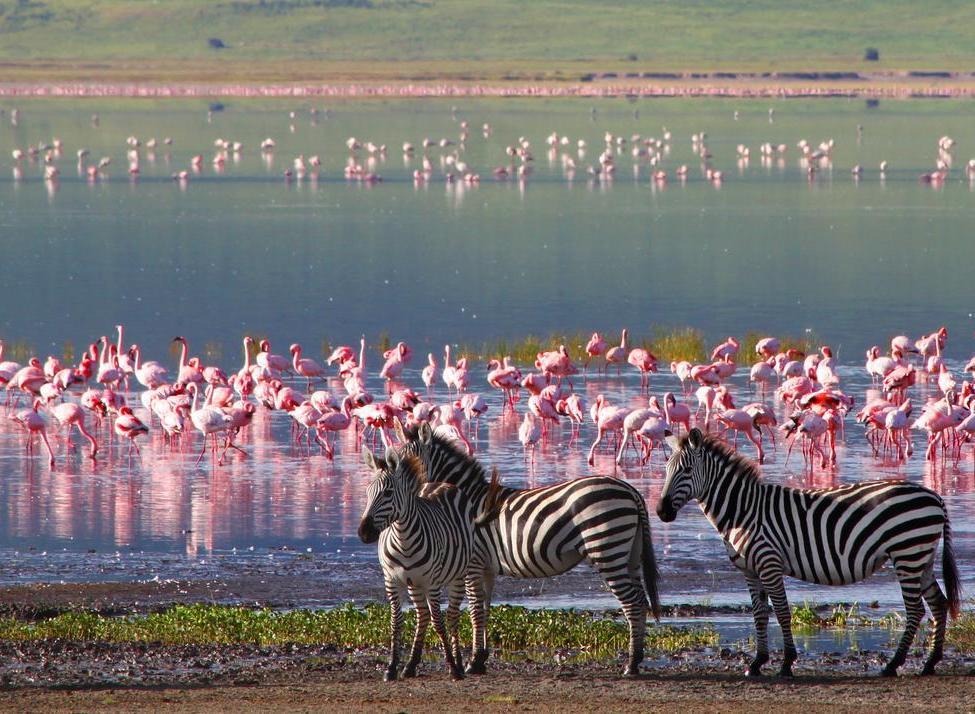 Sanctuary Ngorongoro Crater Camp