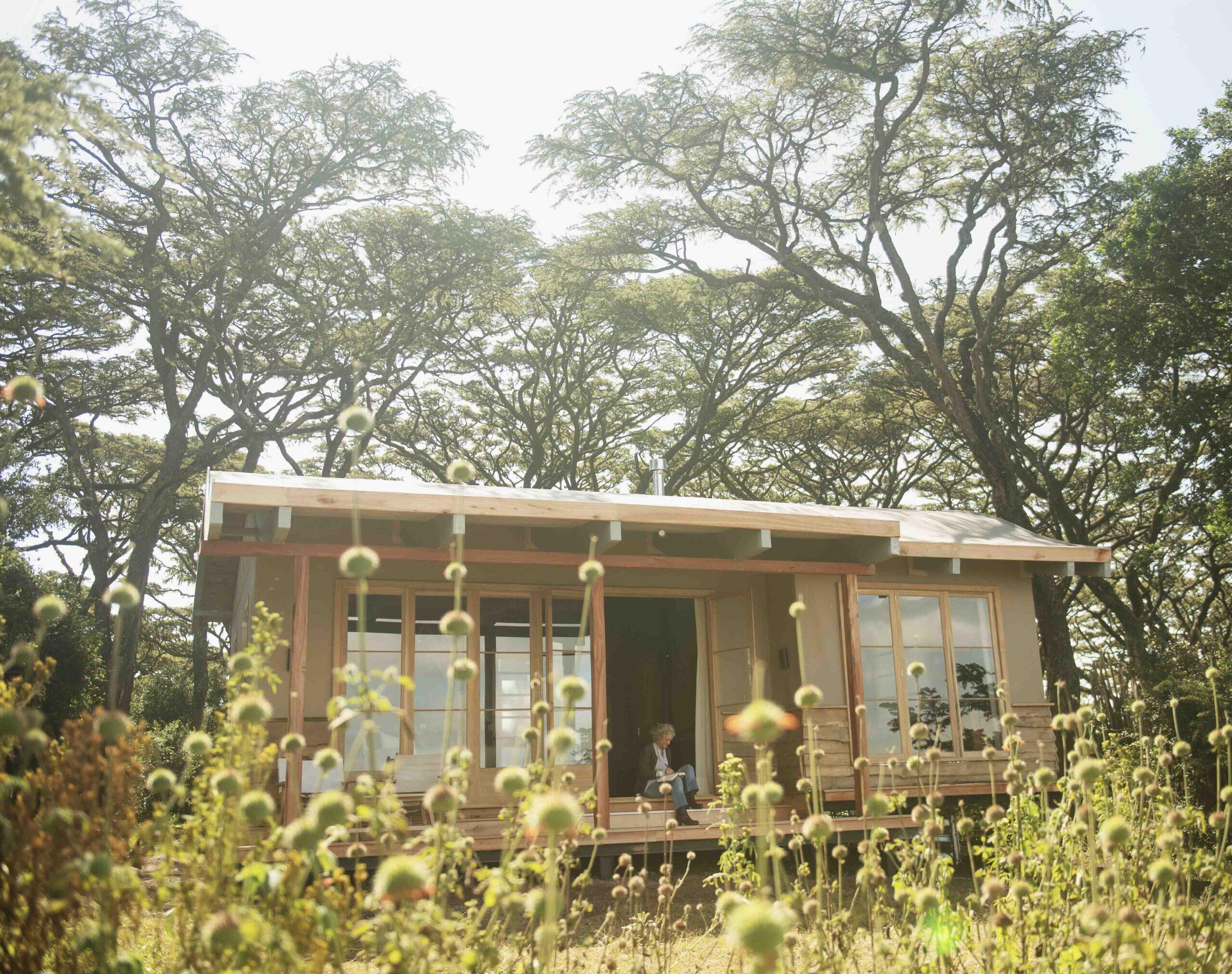 Entamanu Ngorongoro