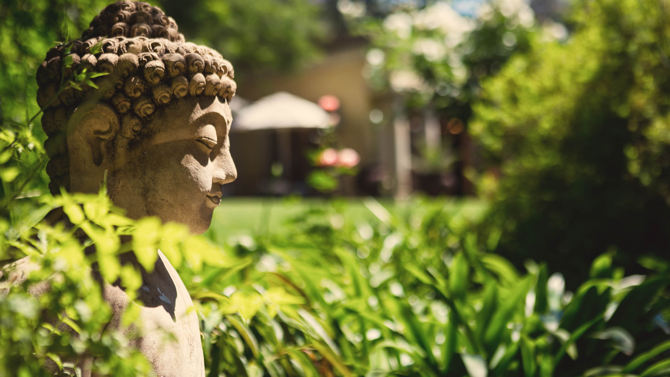 Fairlawns Boutique Hotel and Spa