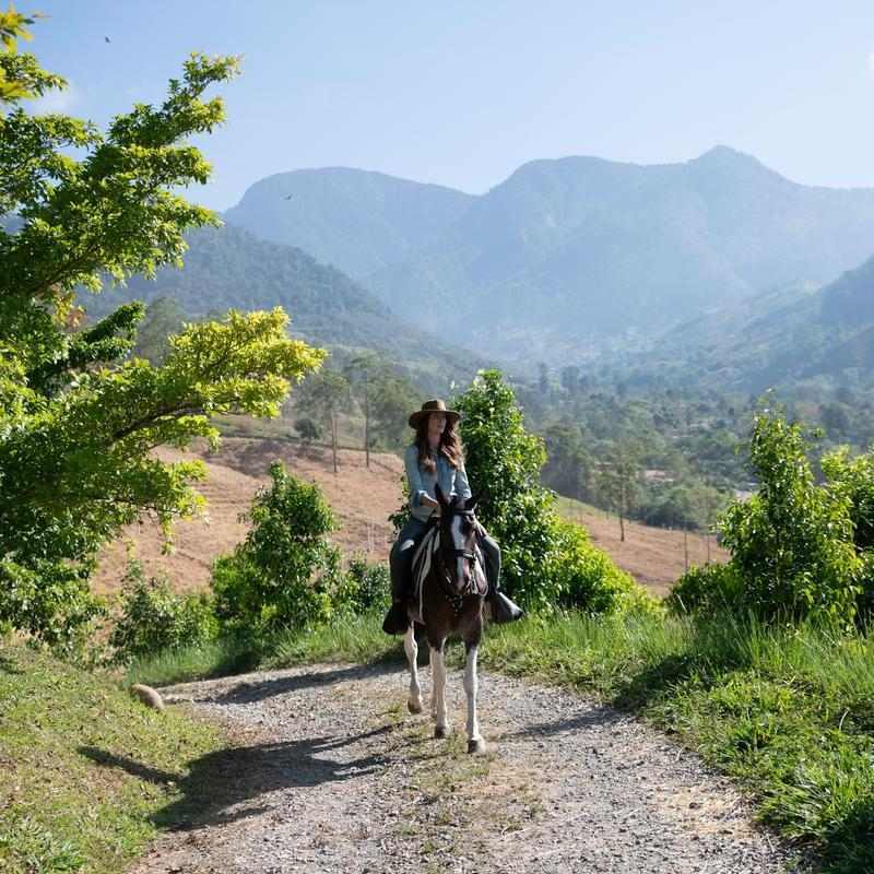 A person wearing a hat rides a horse on a mountain trail surrounded by green trees and a misty valley.