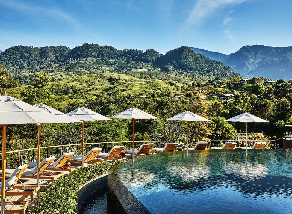 An infinity pool with sun loungers and umbrellas overlooking a scenic green mountain range.