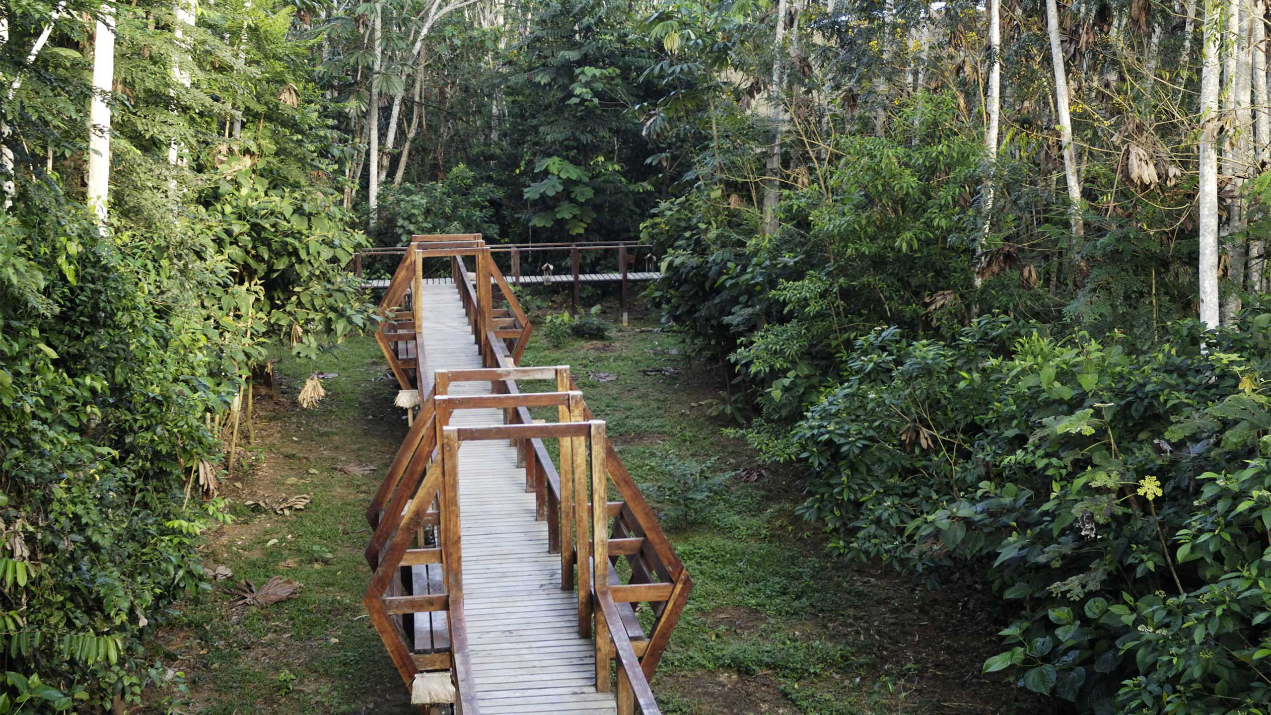 Refugio Amazonas