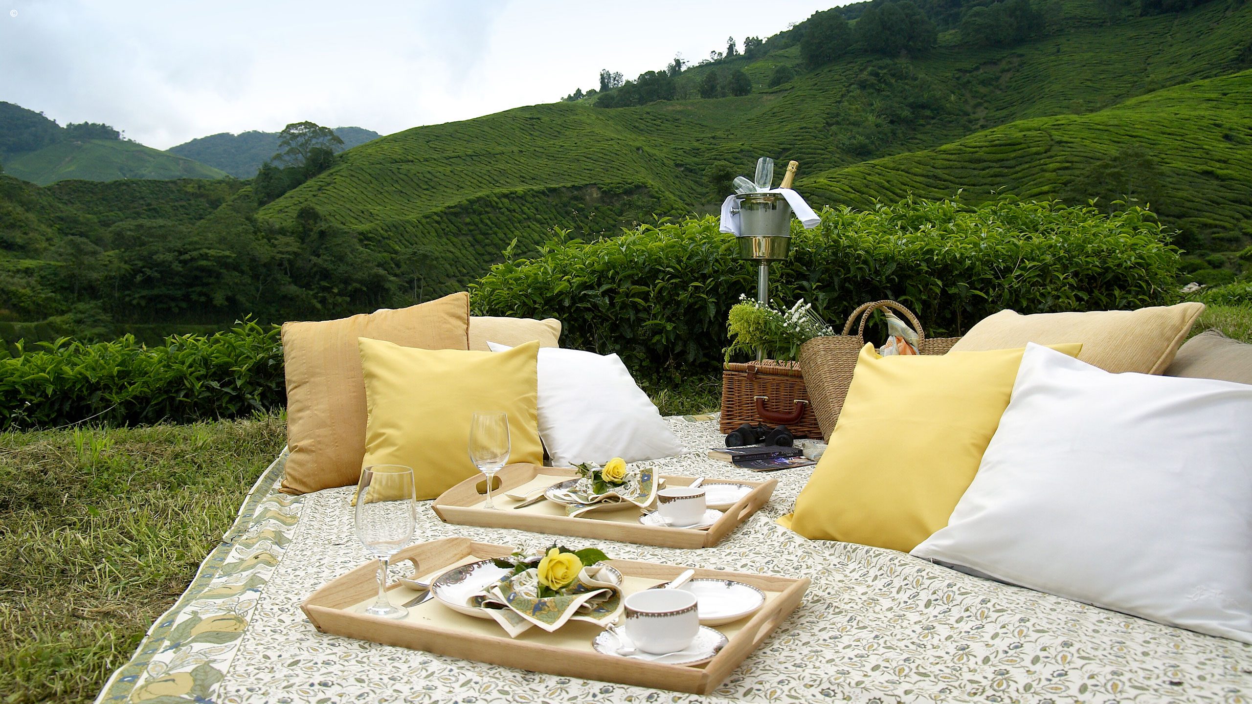Cameron Highlands Resort