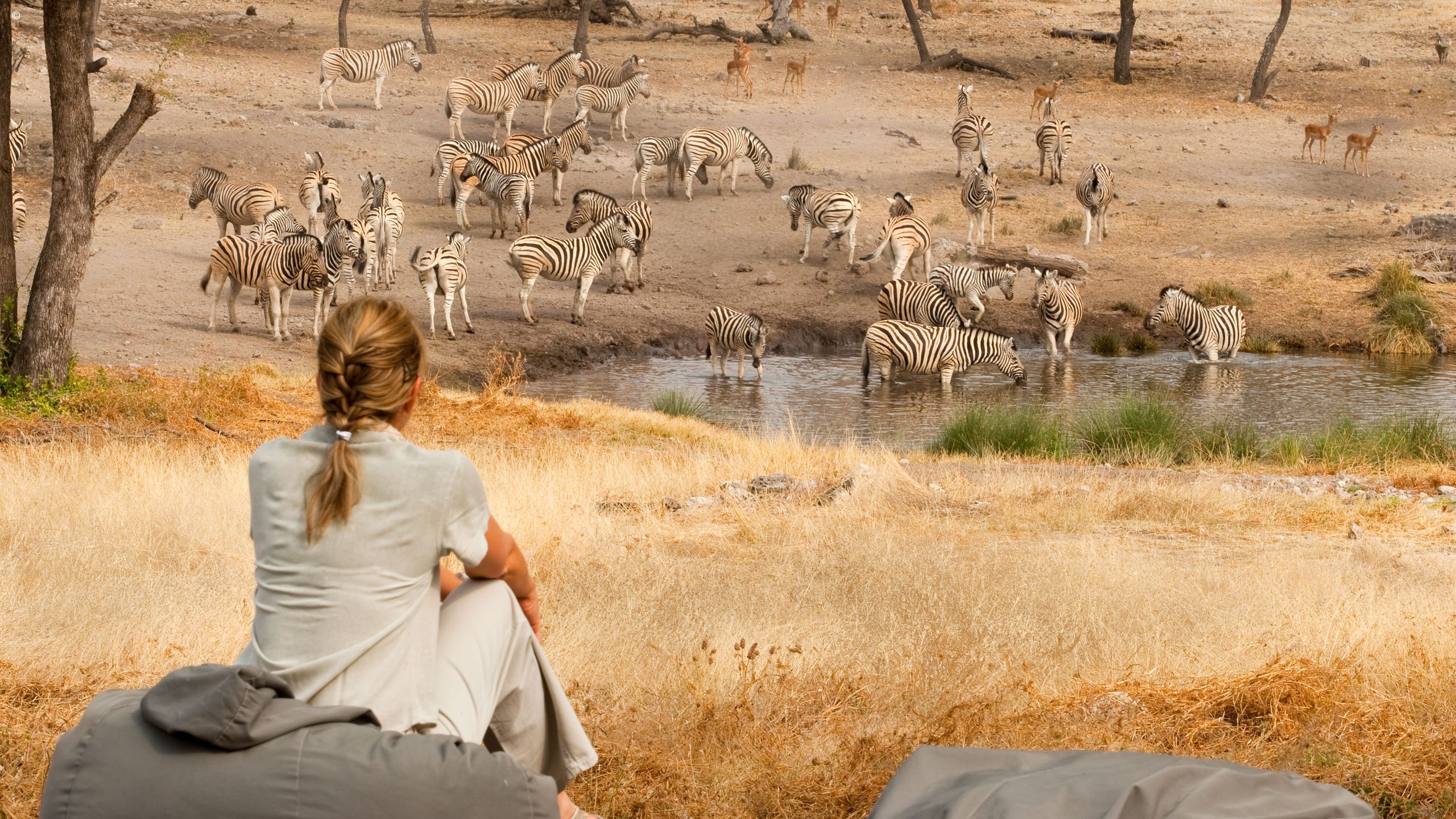 Onguma Tented Camp