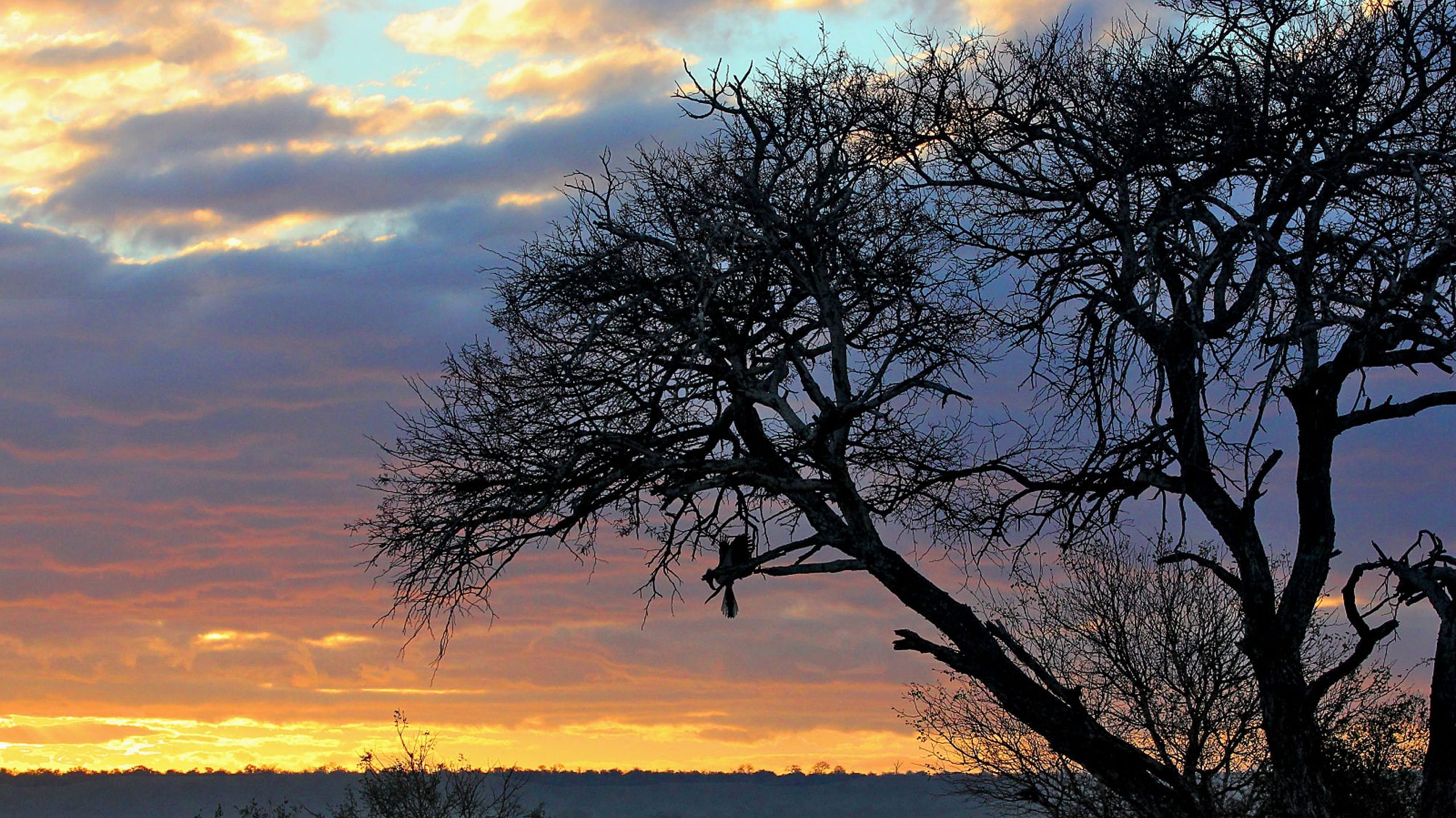 Tanda Tula Field Camp