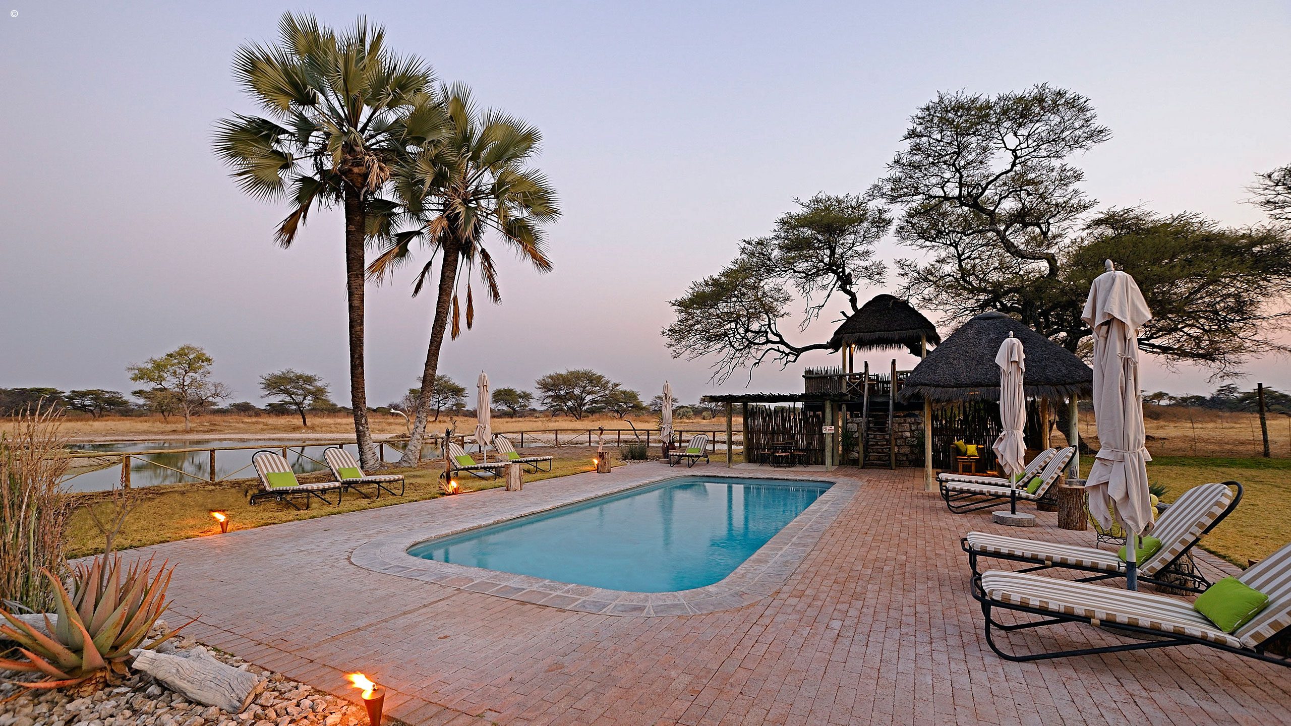 Onguma Bush Camp