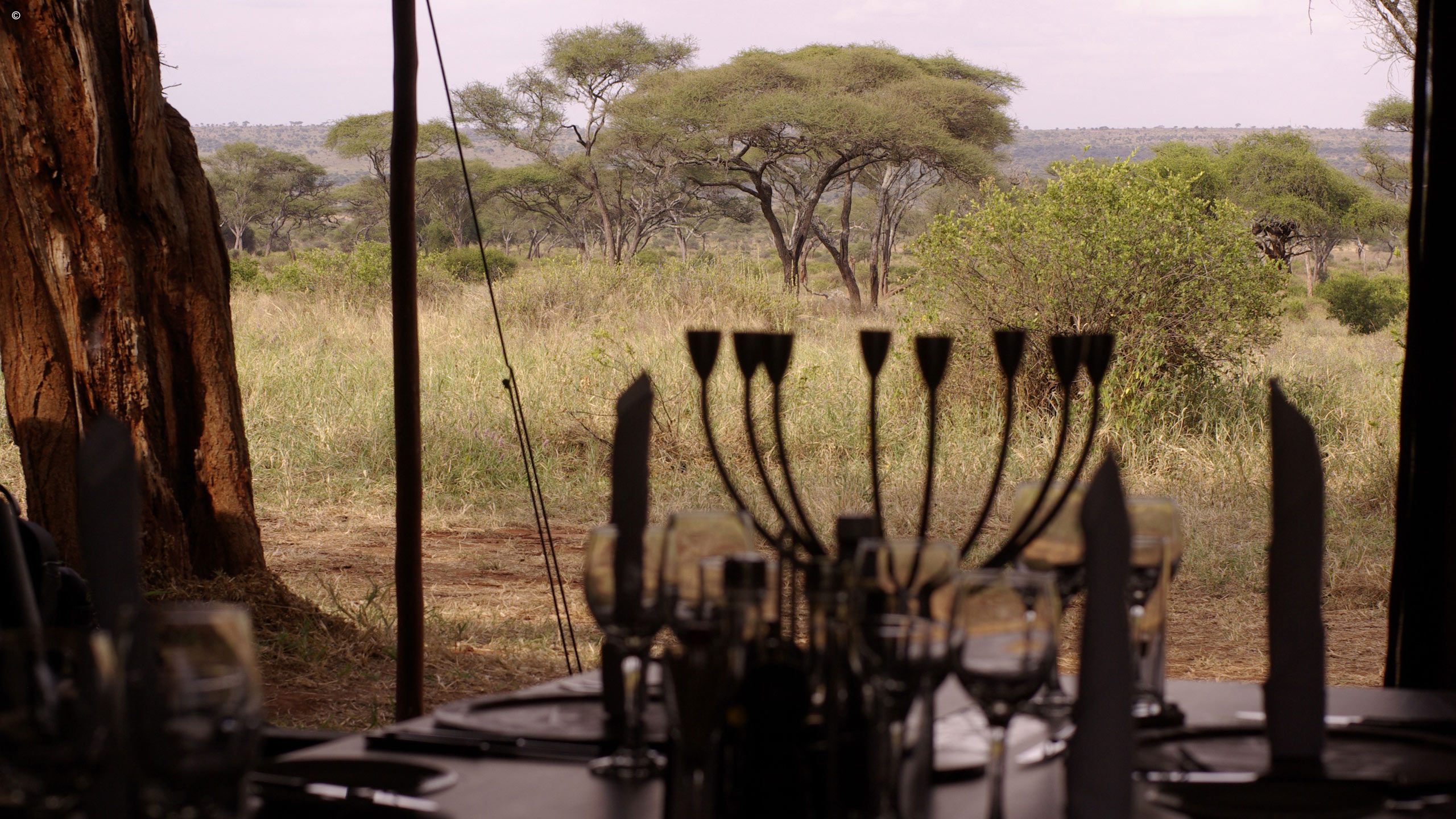 Lemala Tarangire