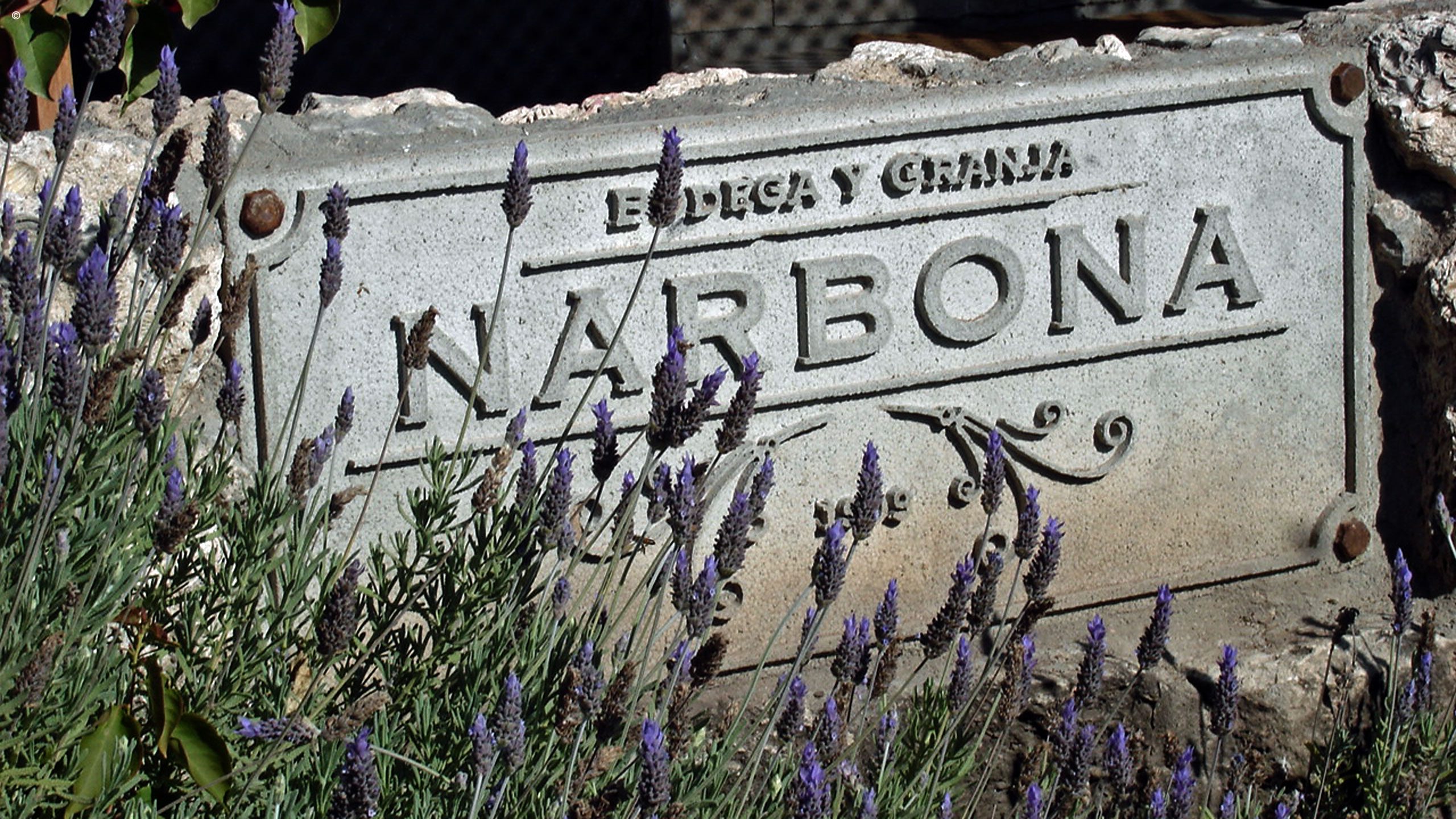 Finca Narbona