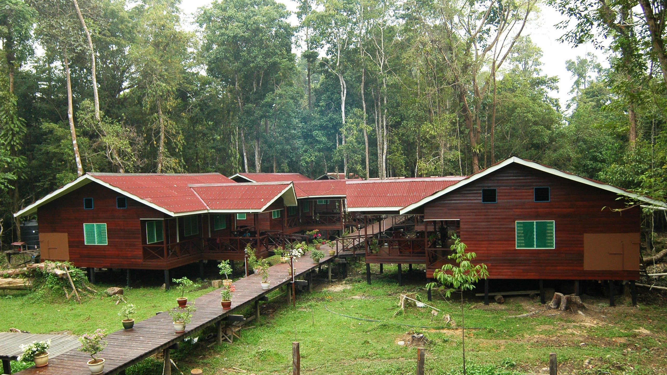 Abai Jungle Lodge