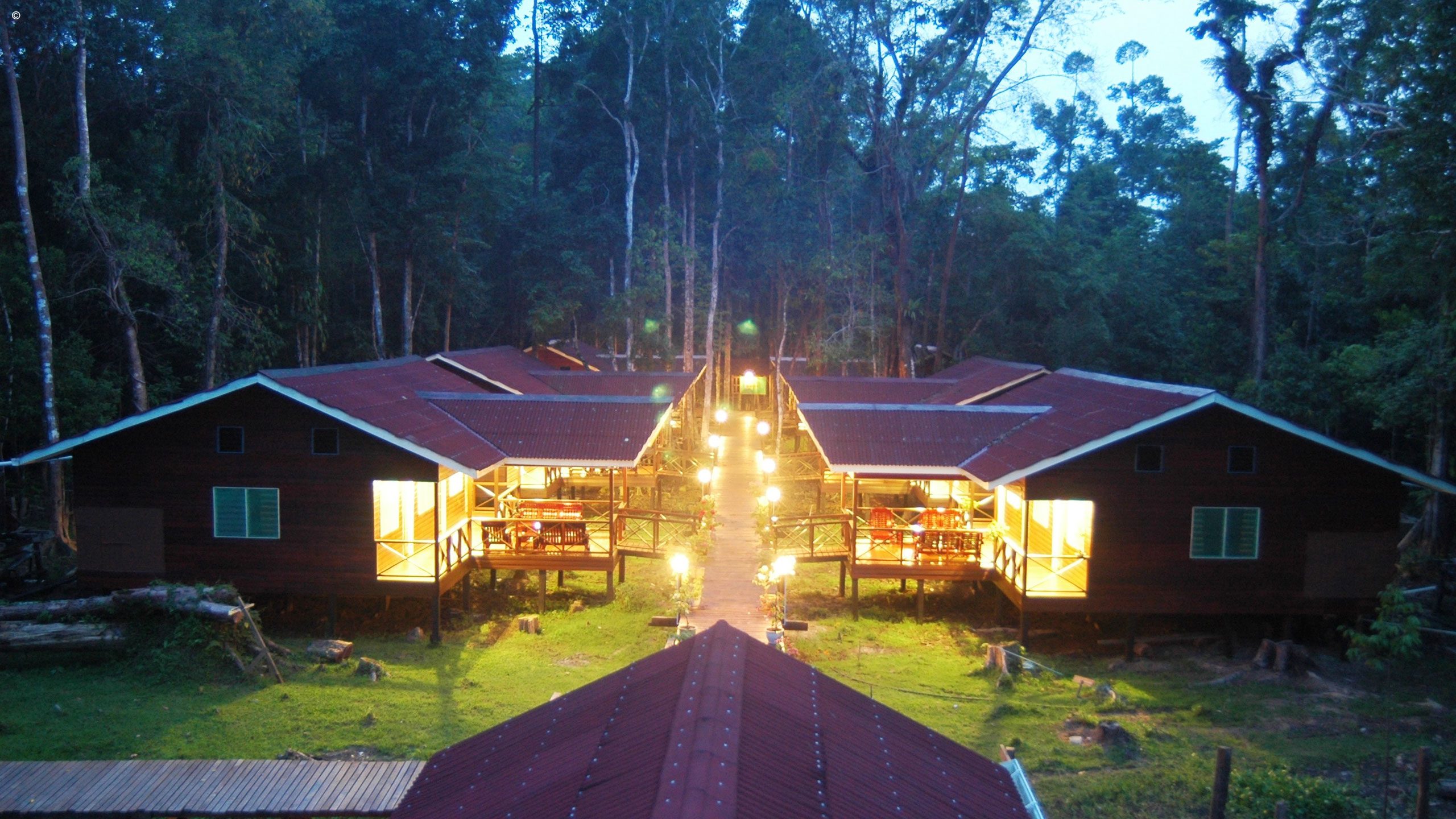 Abai Jungle Lodge