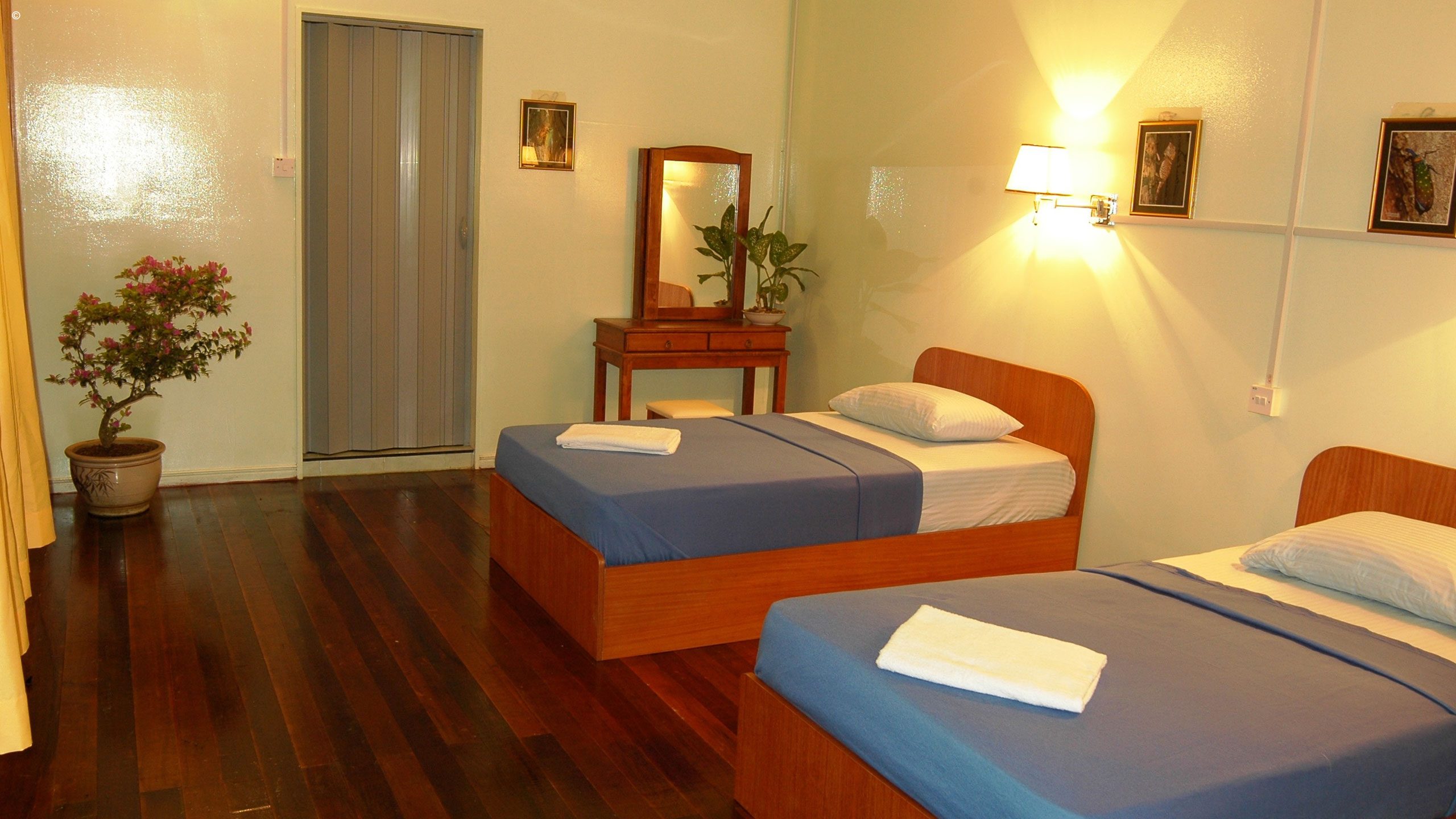 Abai Jungle Lodge