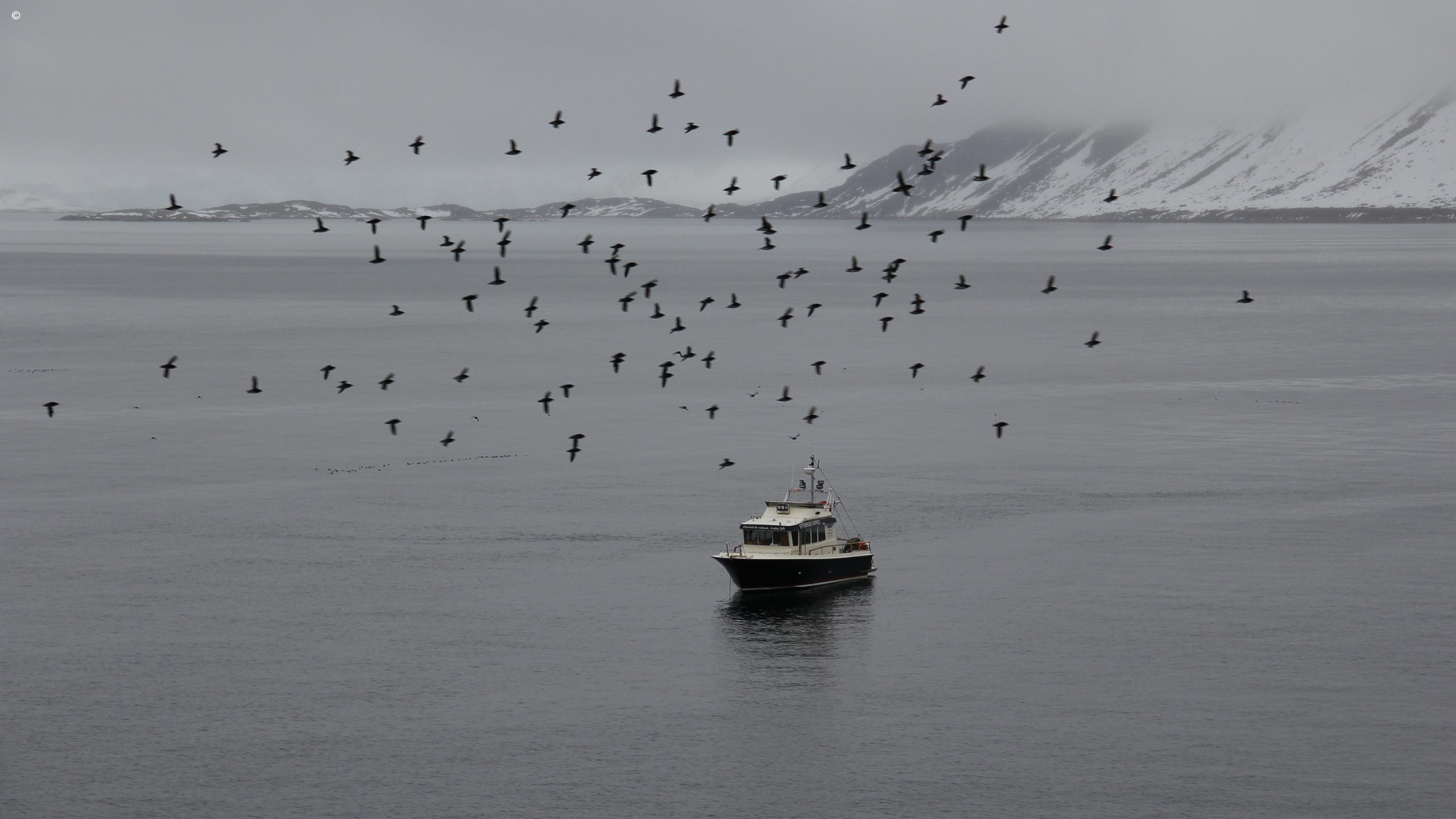 The Spitsbergen Express