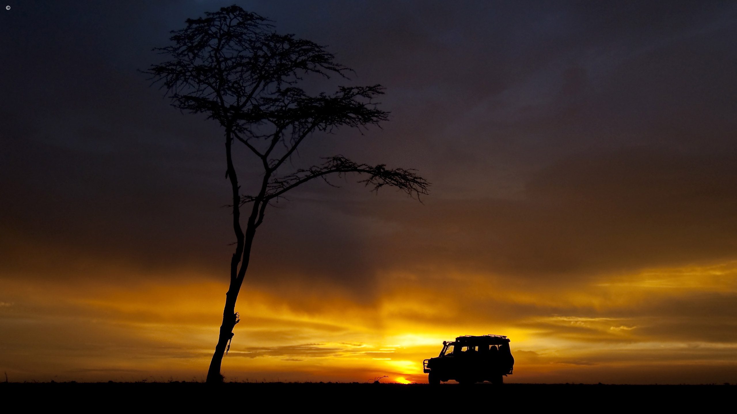 Offbeat Mara Camp