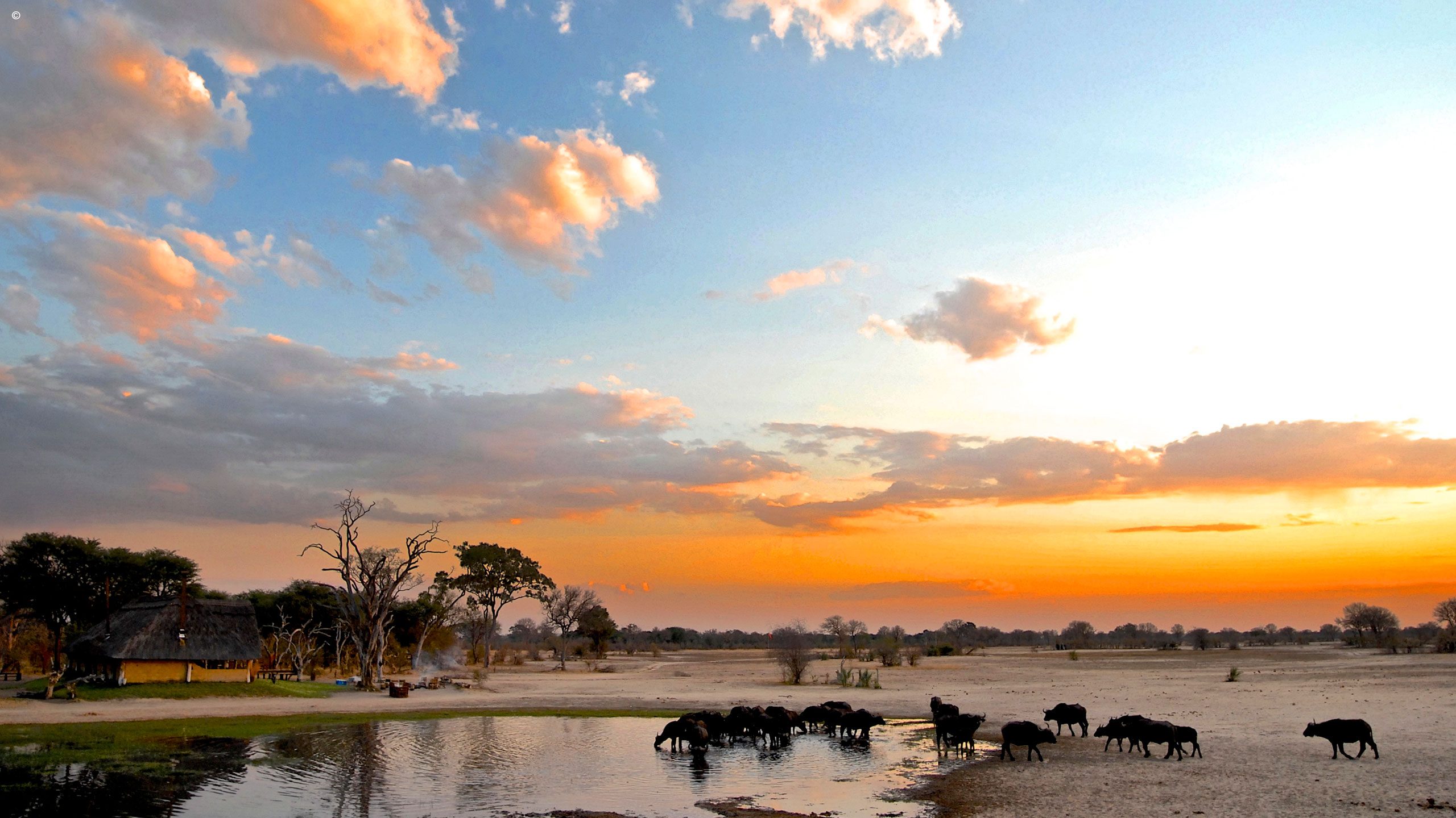 Sundown at Bomani