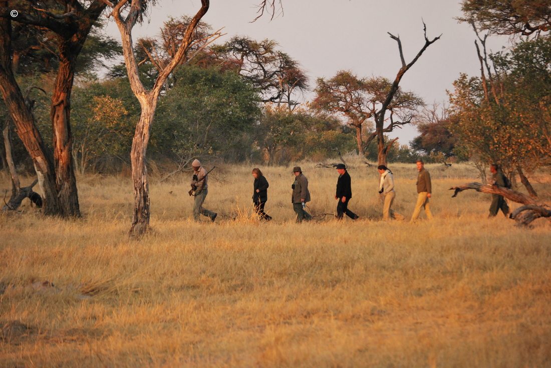 Selinda Adventure Trail