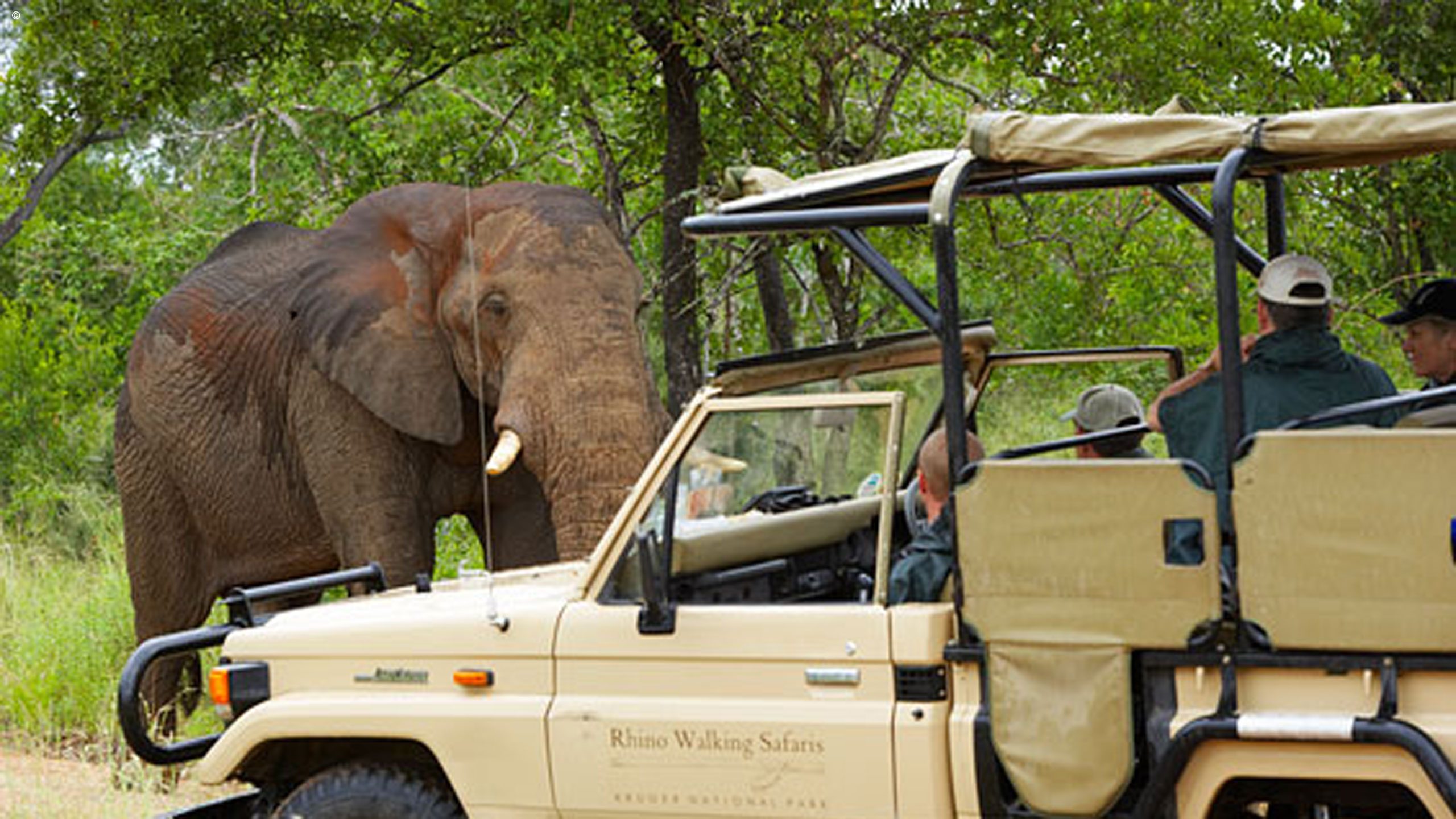 Rhino Post Safari Lodge
