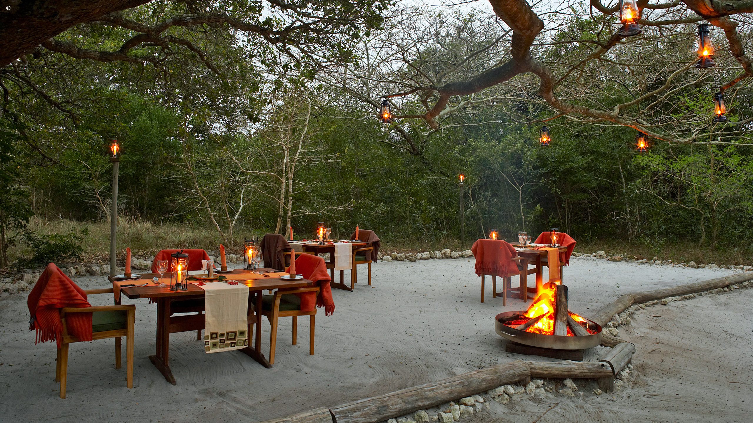 Kosi Forest Lodge