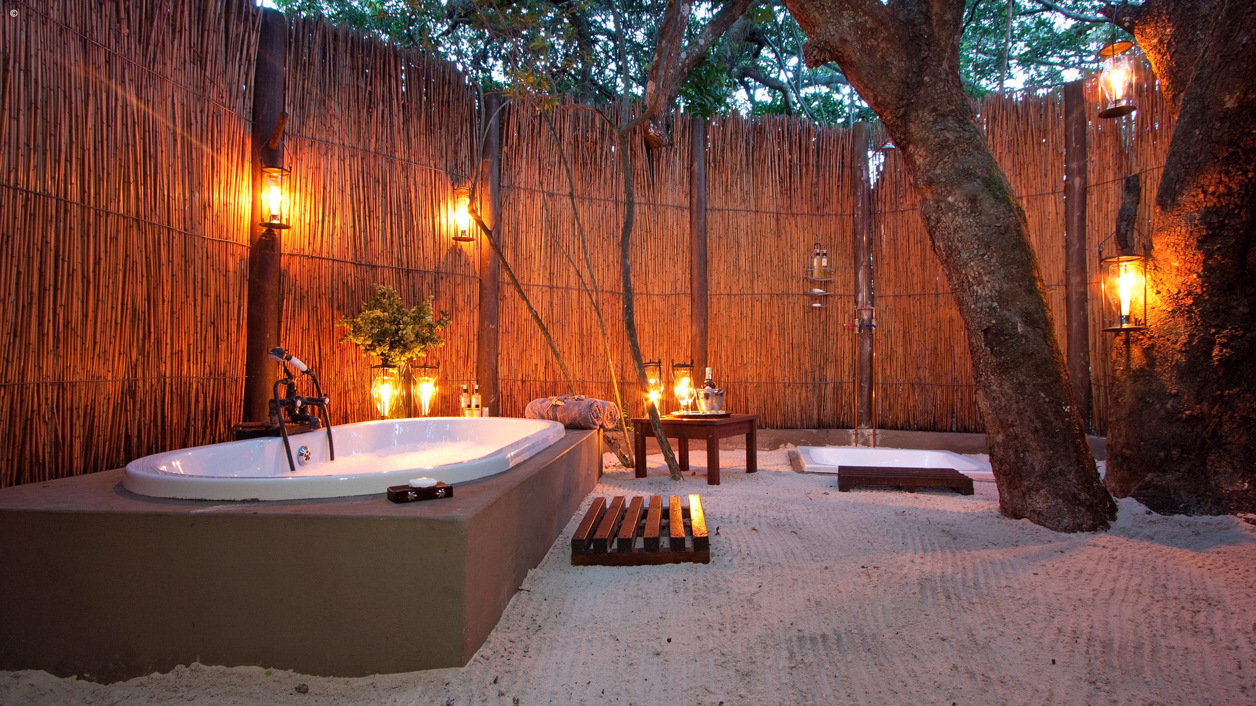 Kosi Forest Lodge