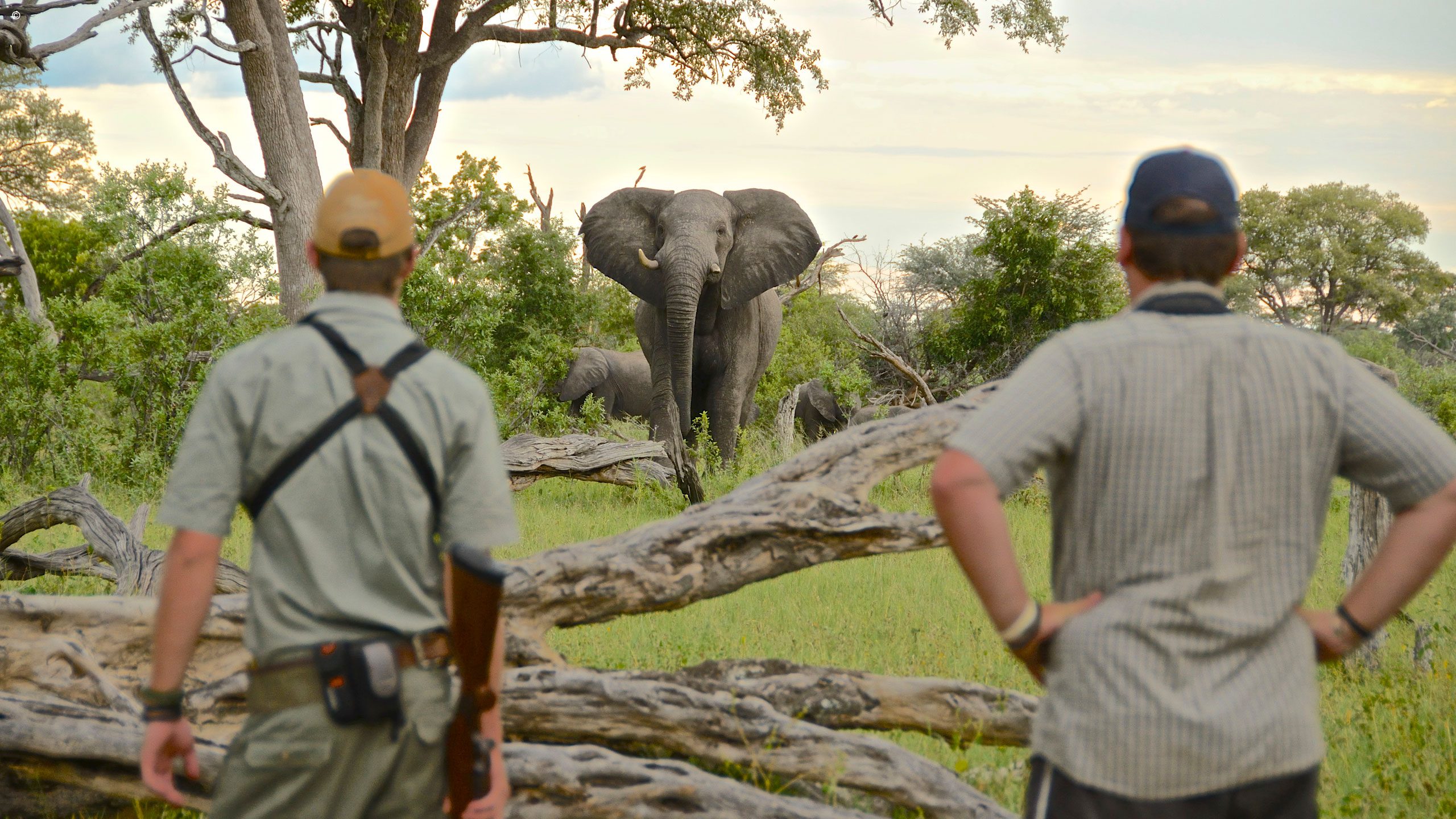 Bomani Tented Lodge