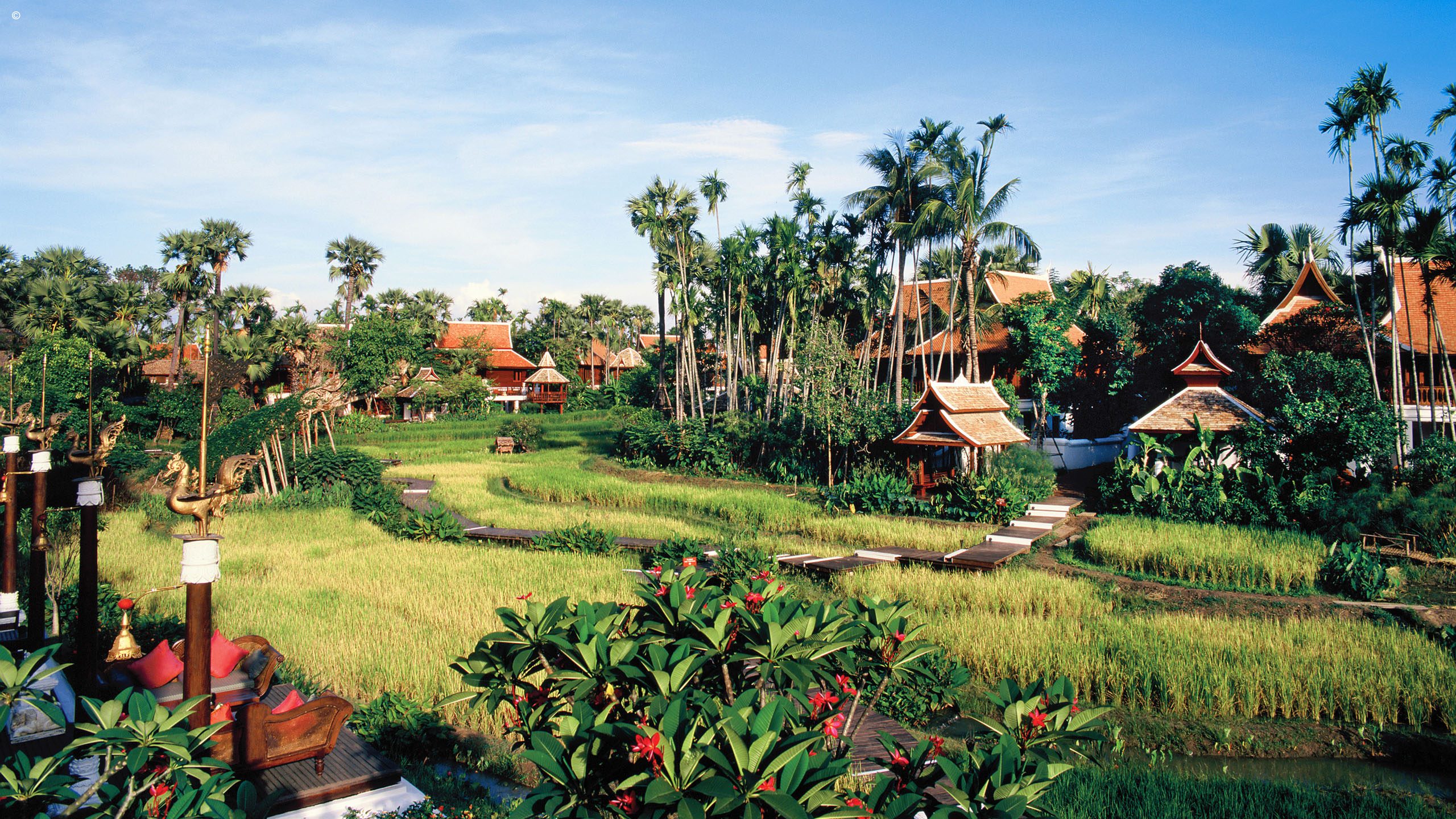 The Dhara Dhevi