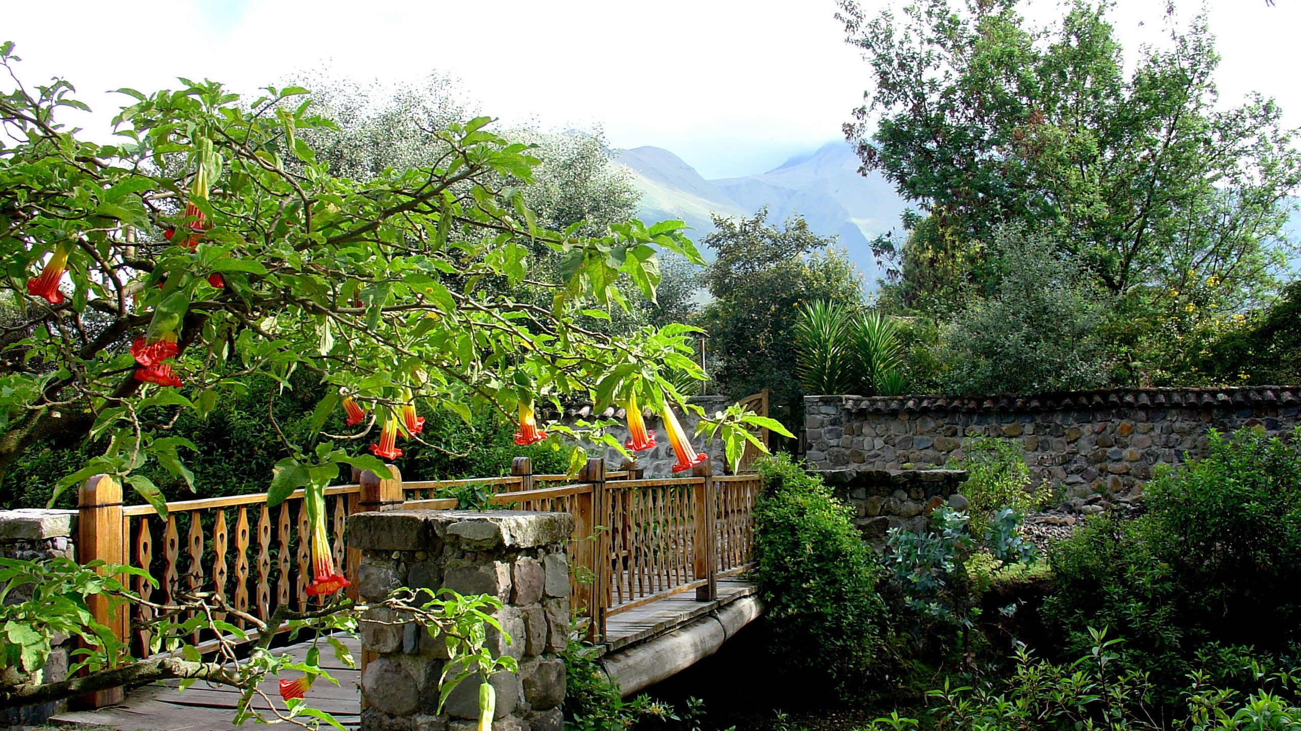 Hacienda Cusin
