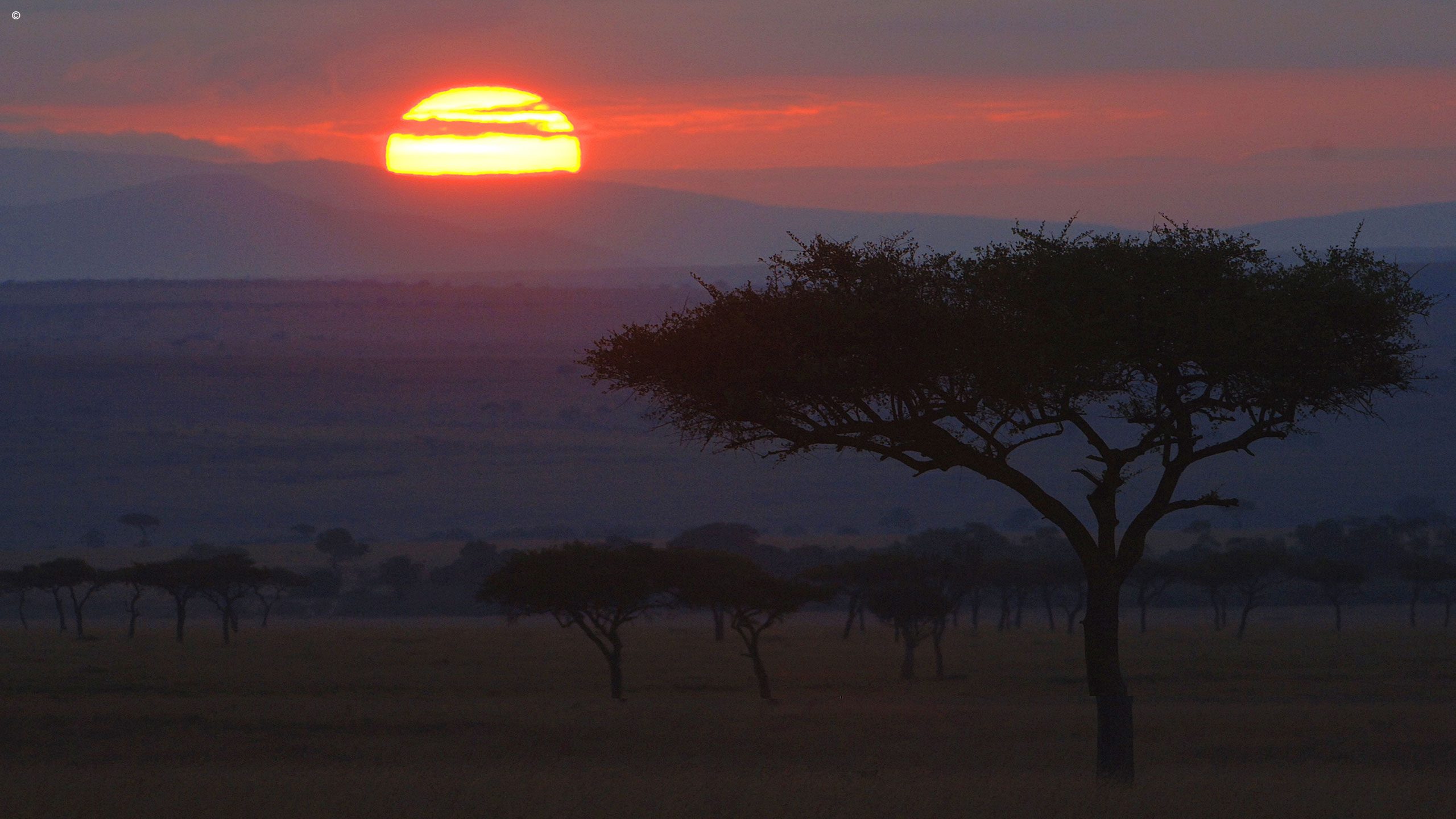 Kichwa Tembo Tented Camp