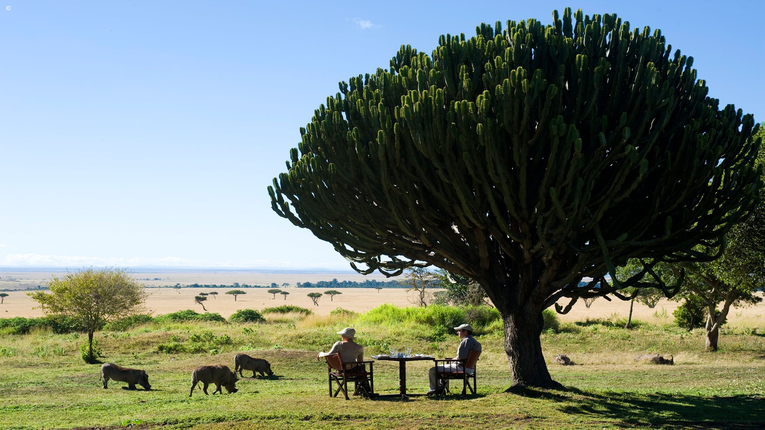 Kichwa Tembo Tented Camp