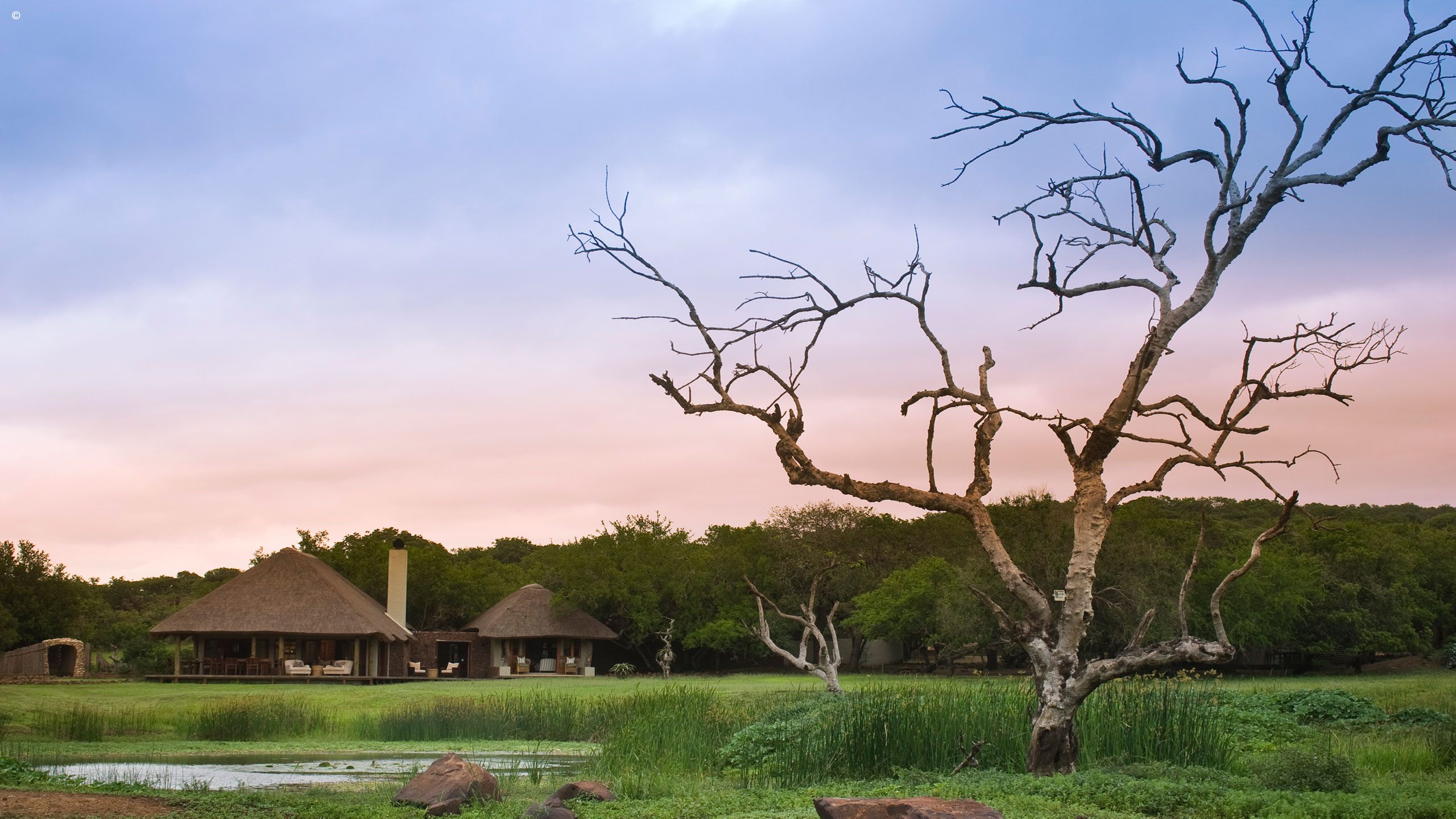 Phinda Zuka Lodge