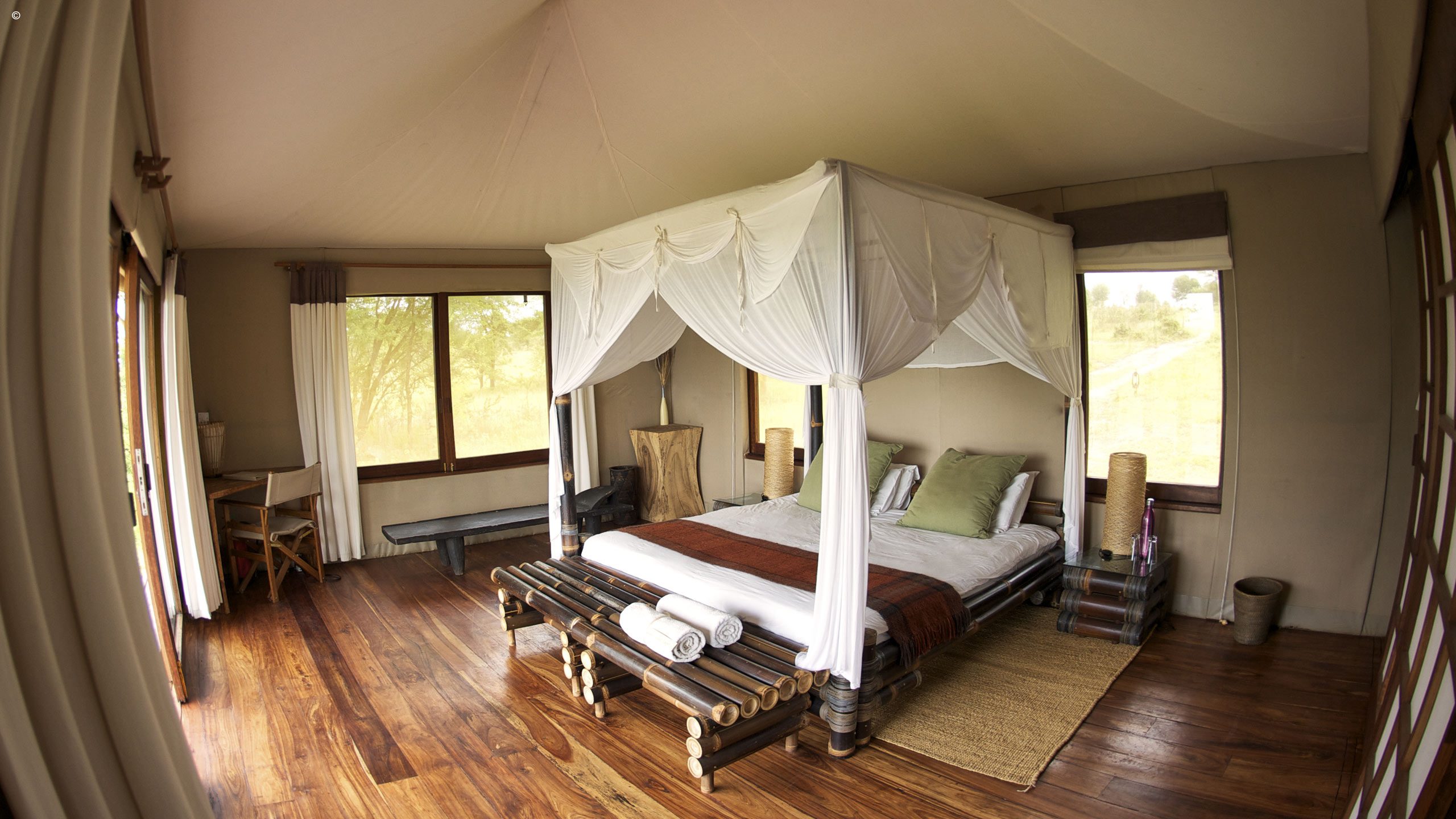 Sayari Camp
