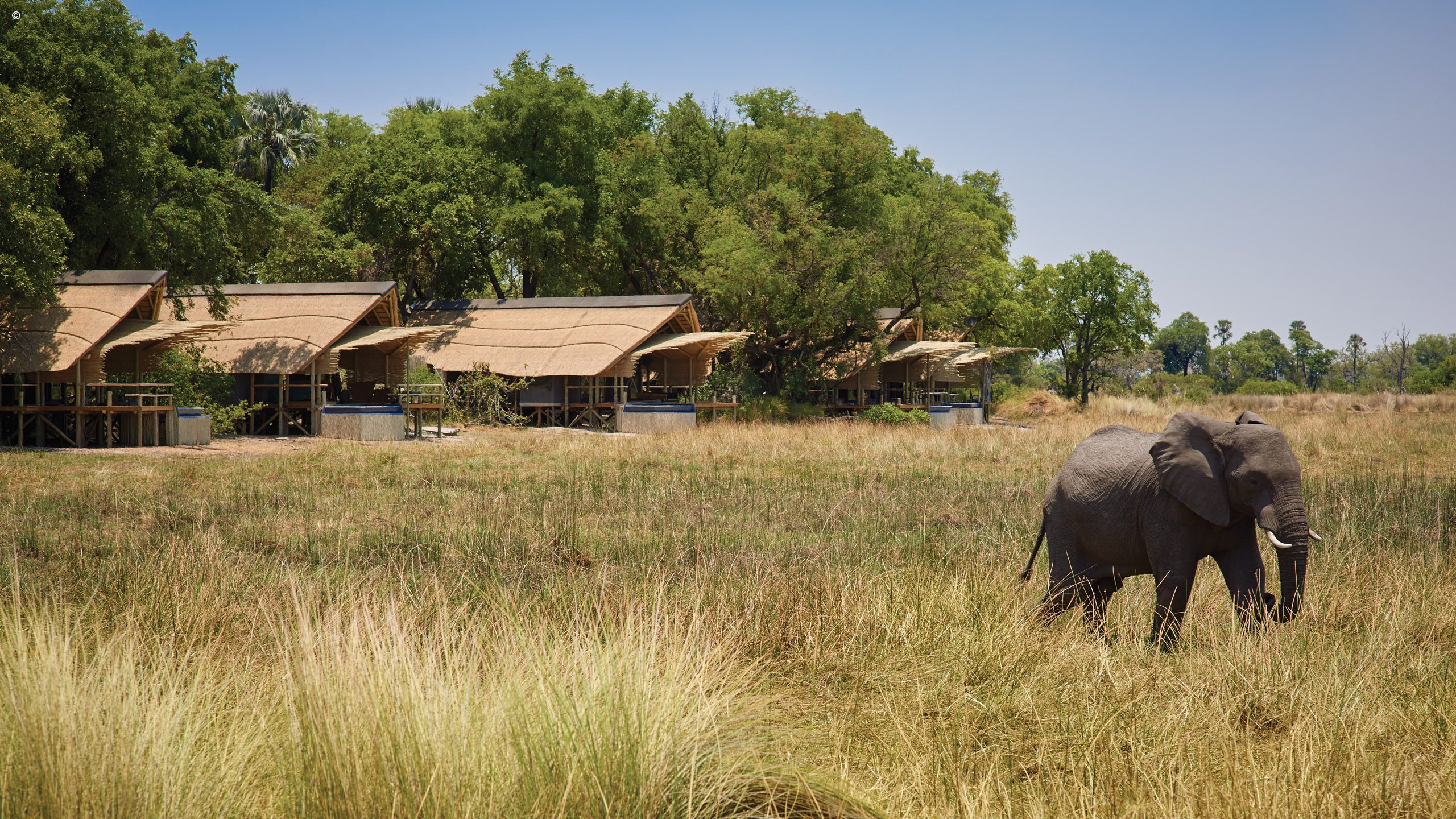 Eagle Island Lodge